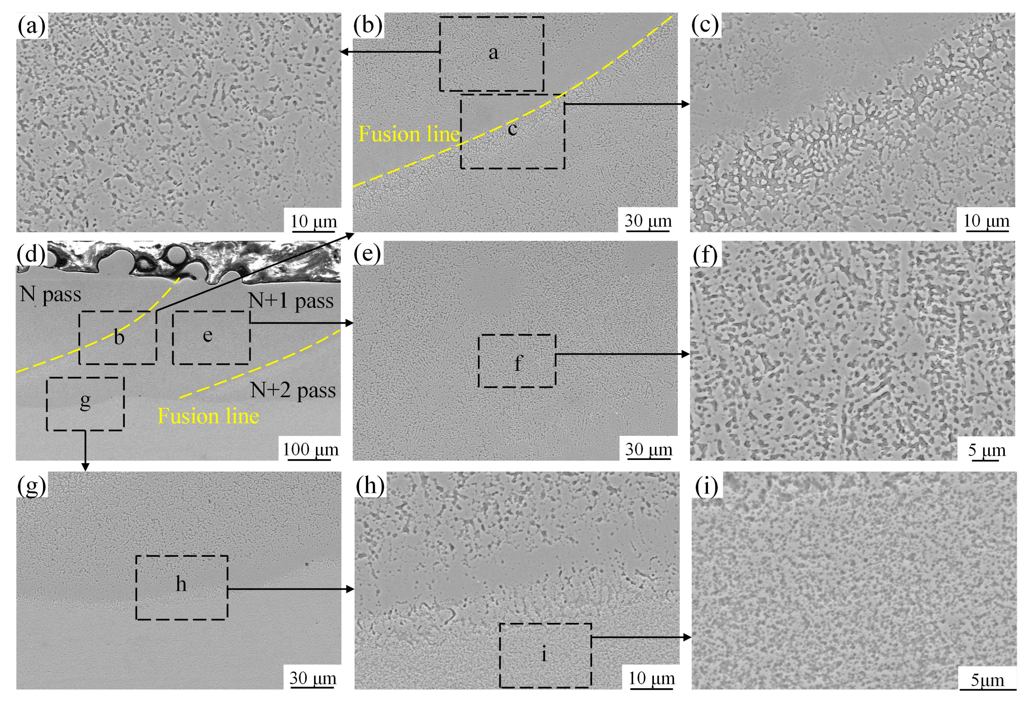 Coatings 16 00179 g011 Coatings 16 00179 g011