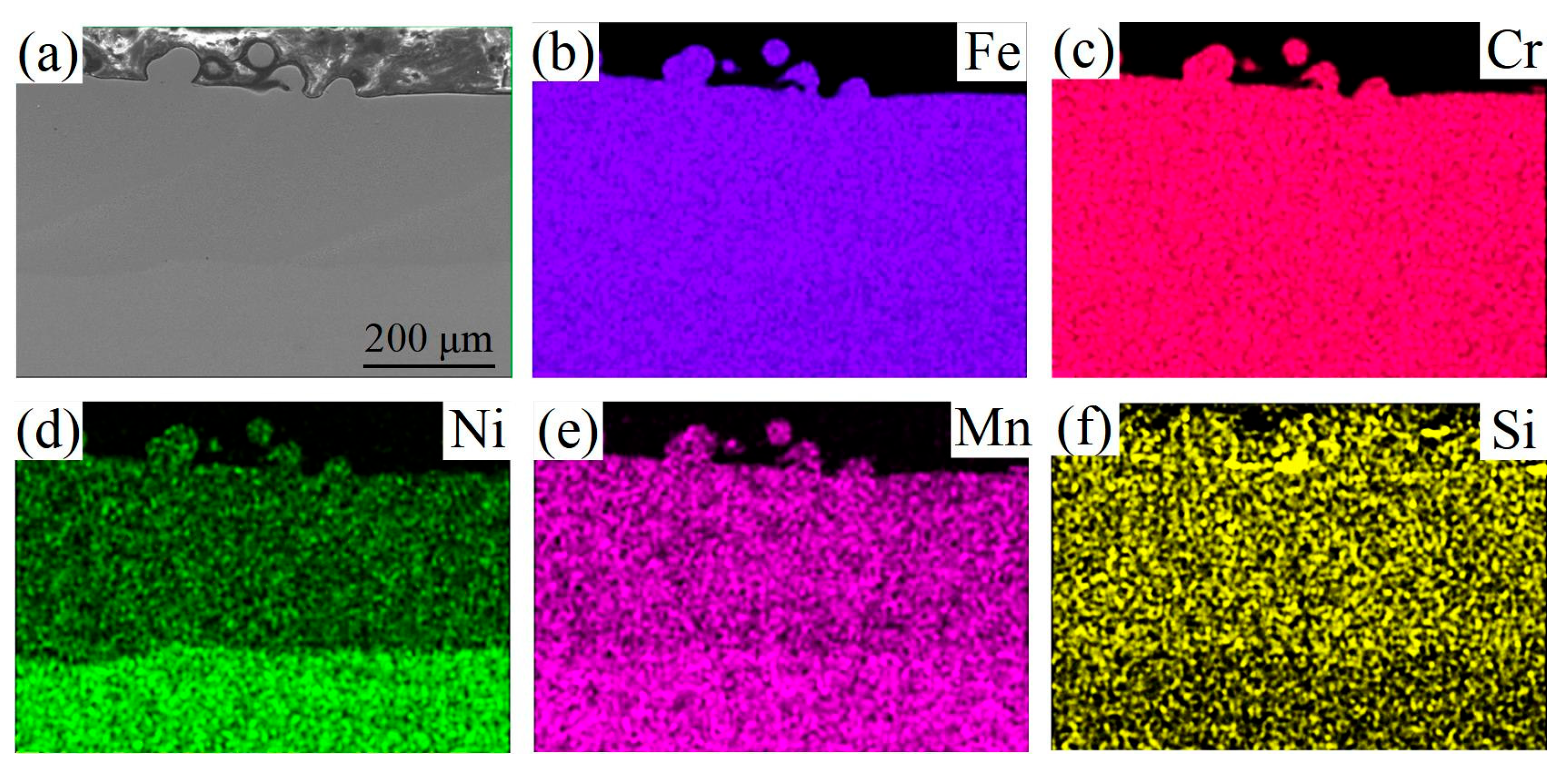 Coatings 16 00179 g012 Coatings 16 00179 g012