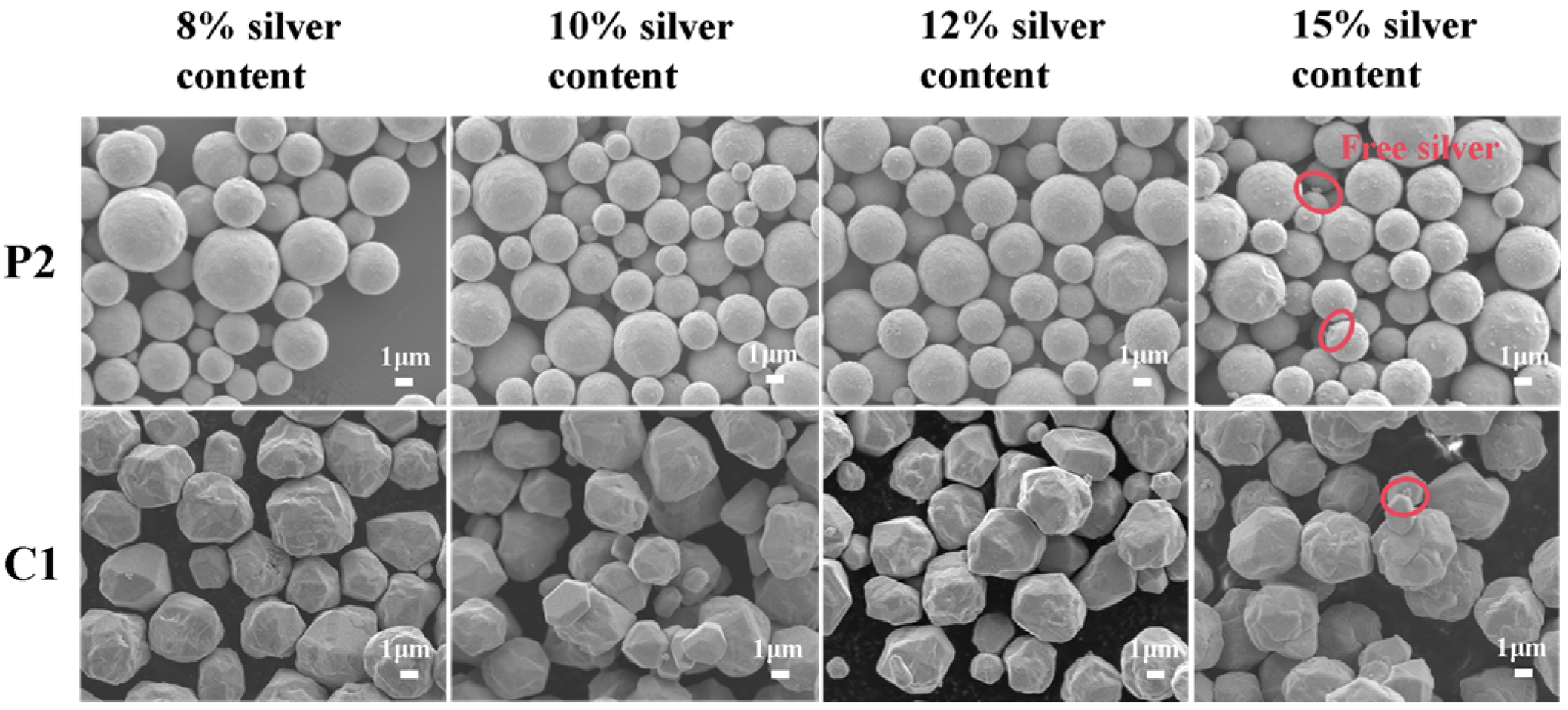 Coatings 16 00183 g005