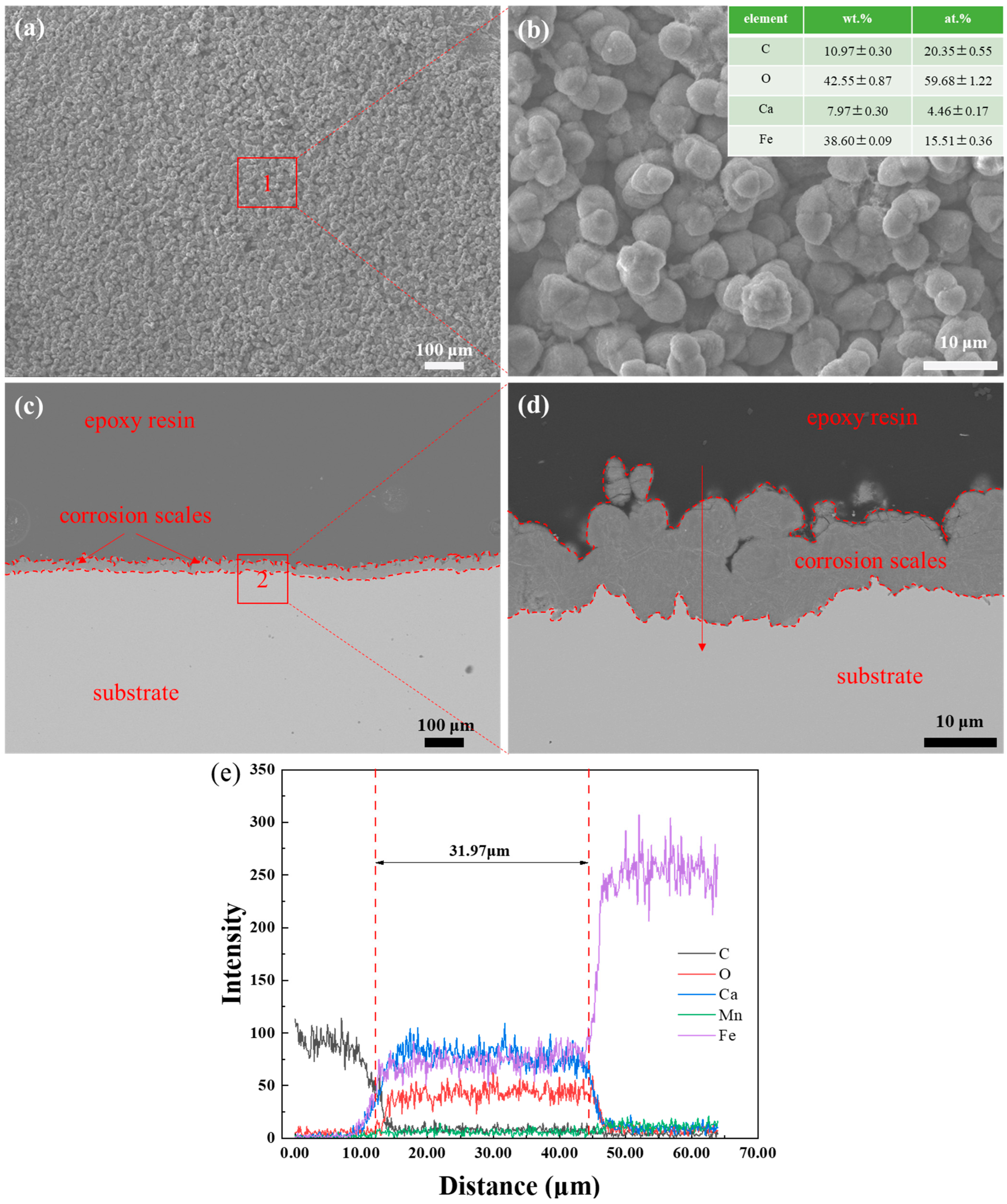 Coatings 16 00184 g004