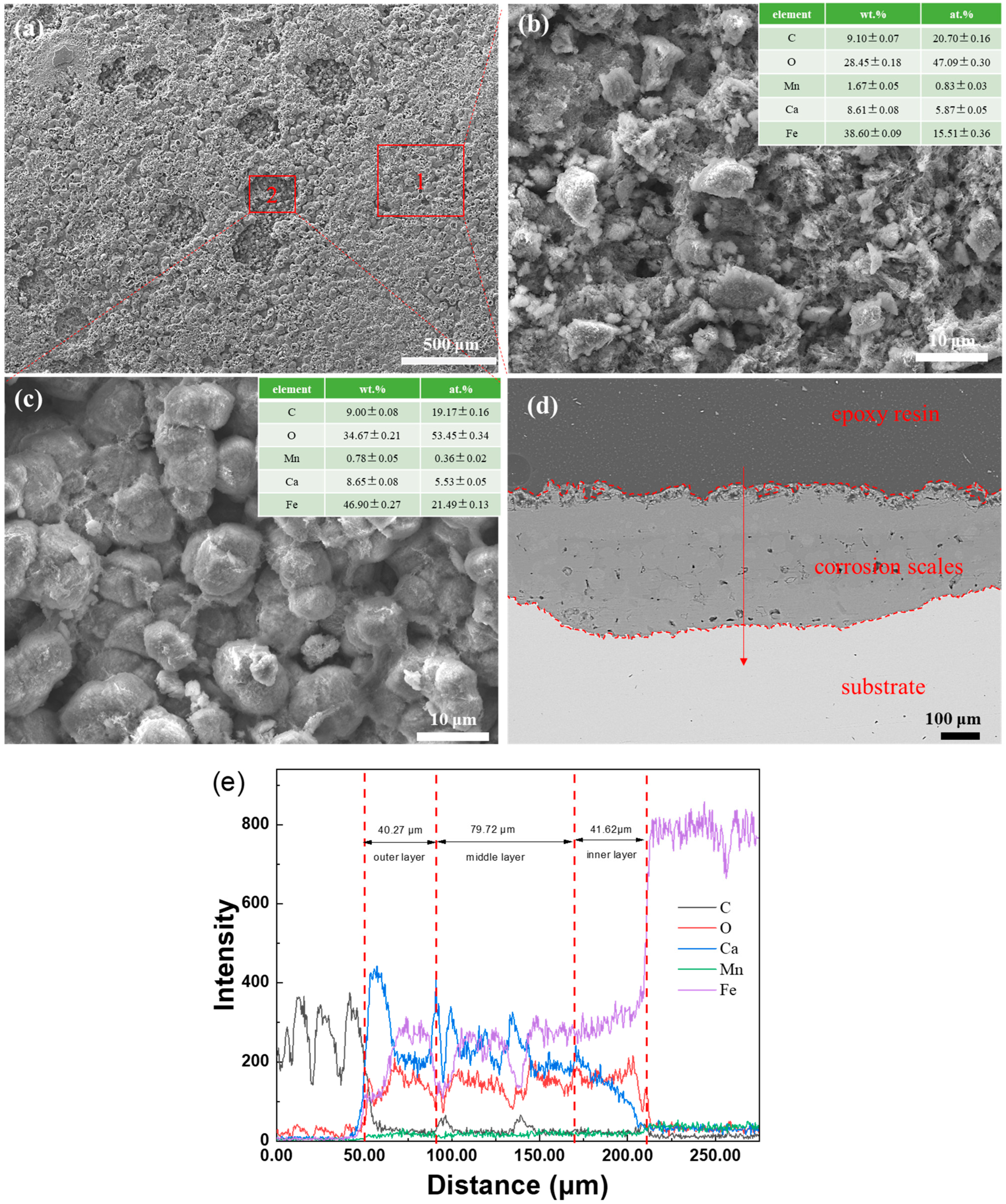 Coatings 16 00184 g005