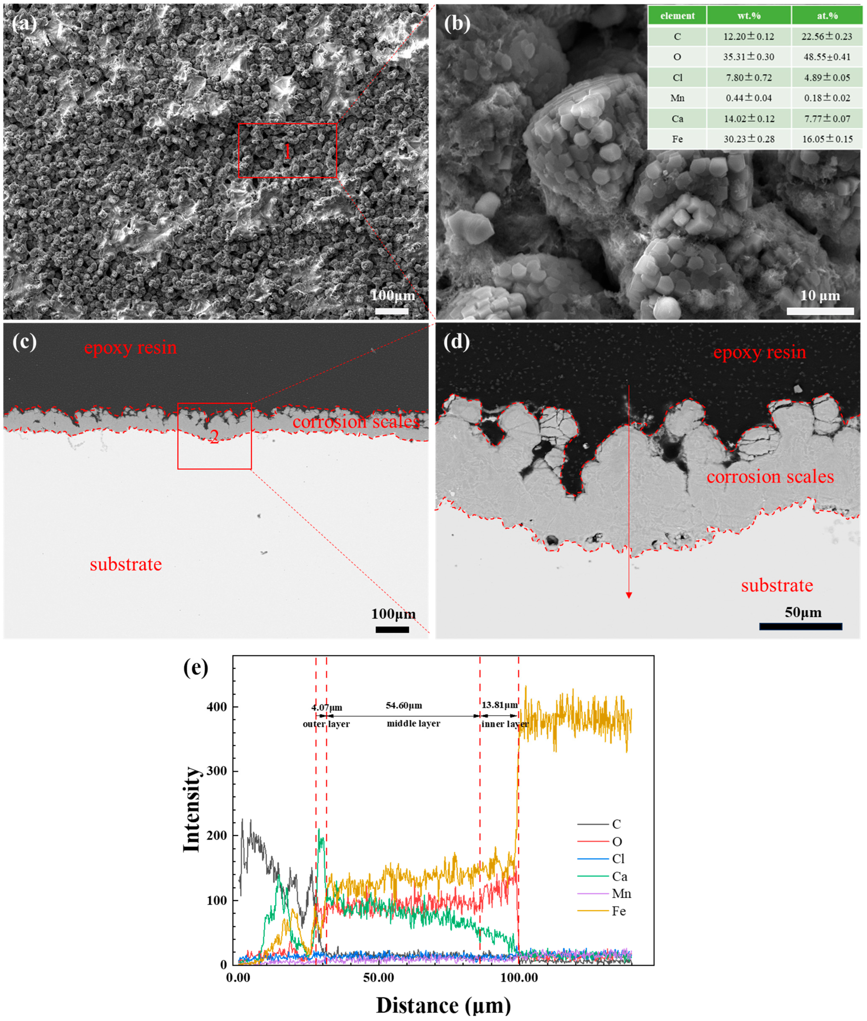 Coatings 16 00184 g006