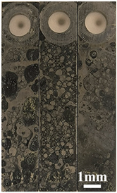 Coatings 16 00184 i001