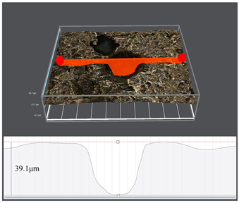Coatings 16 00184 i002