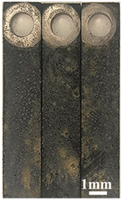 Coatings 16 00184 i003