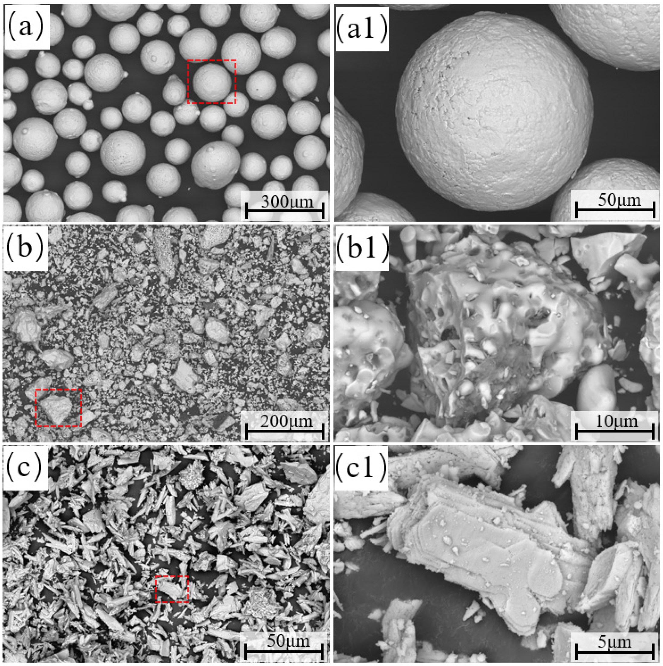 Coatings 16 00187 g001