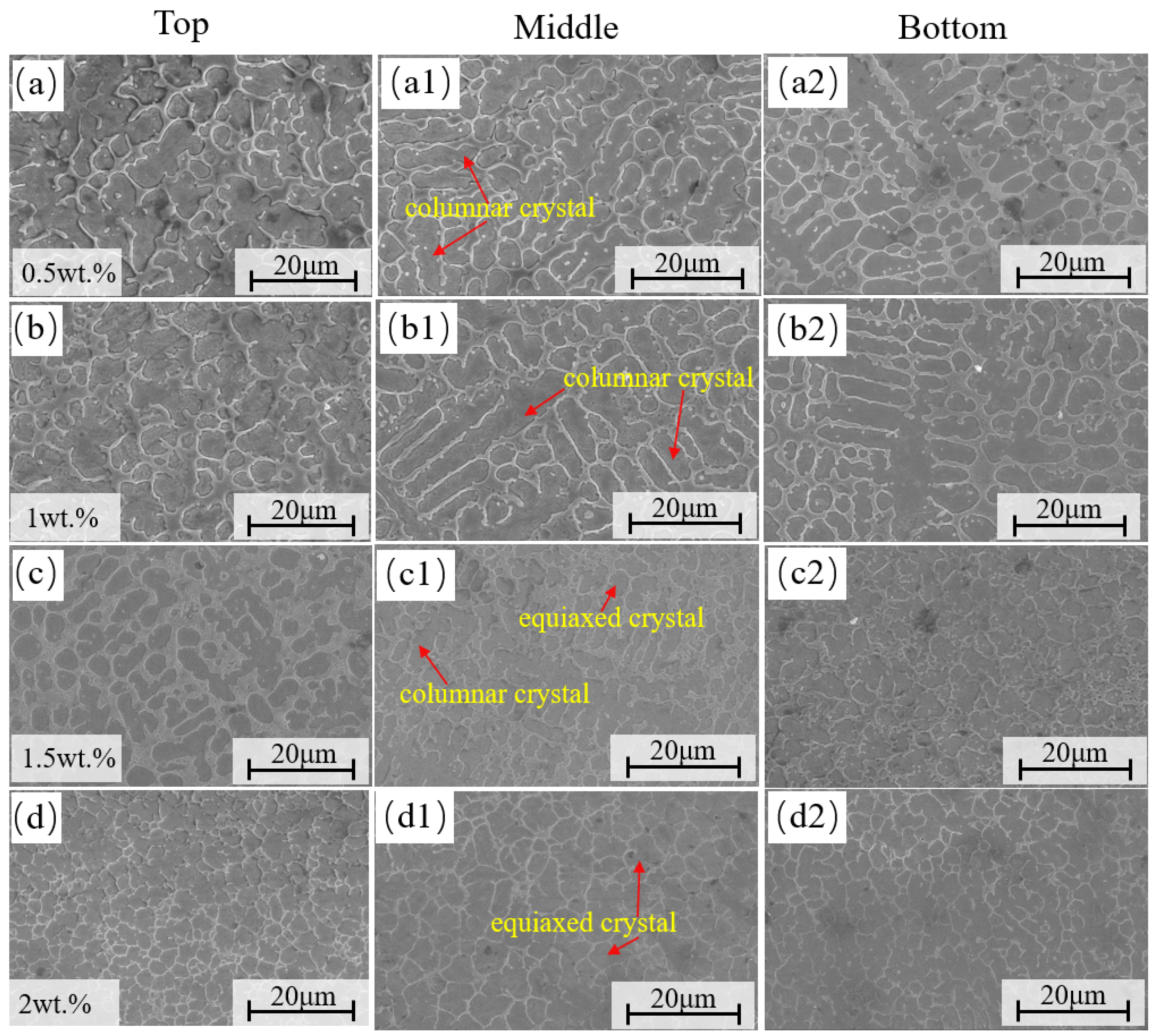 Coatings 16 00187 g004