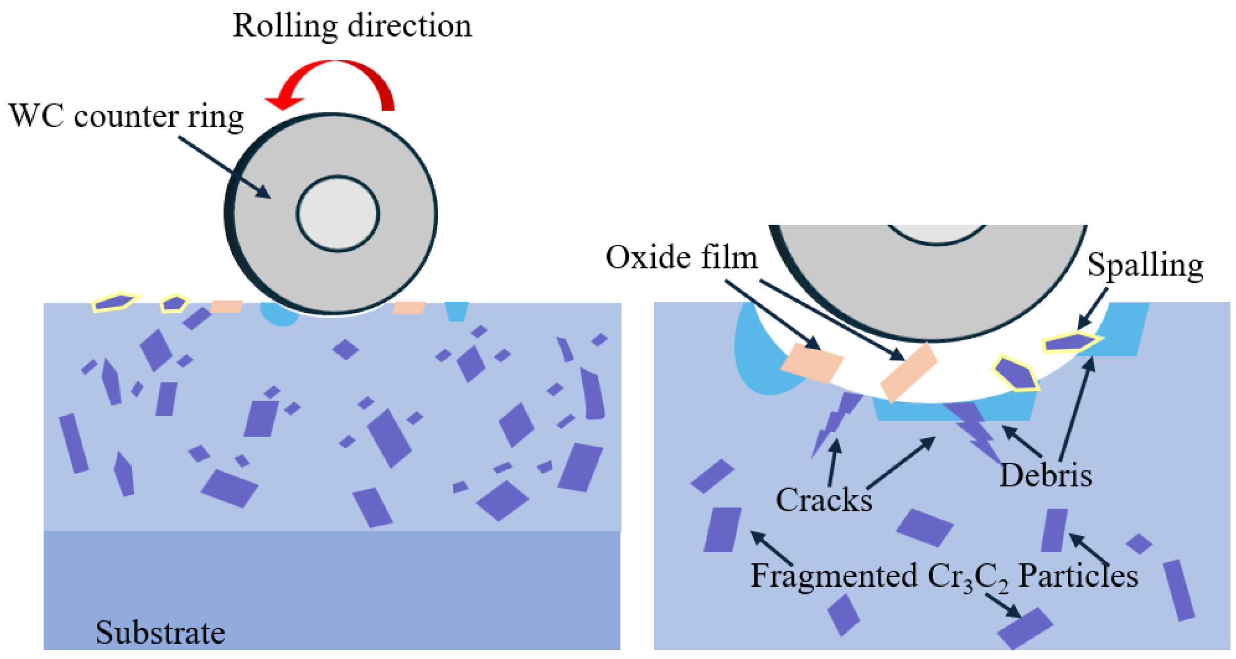 Coatings 16 00187 g009