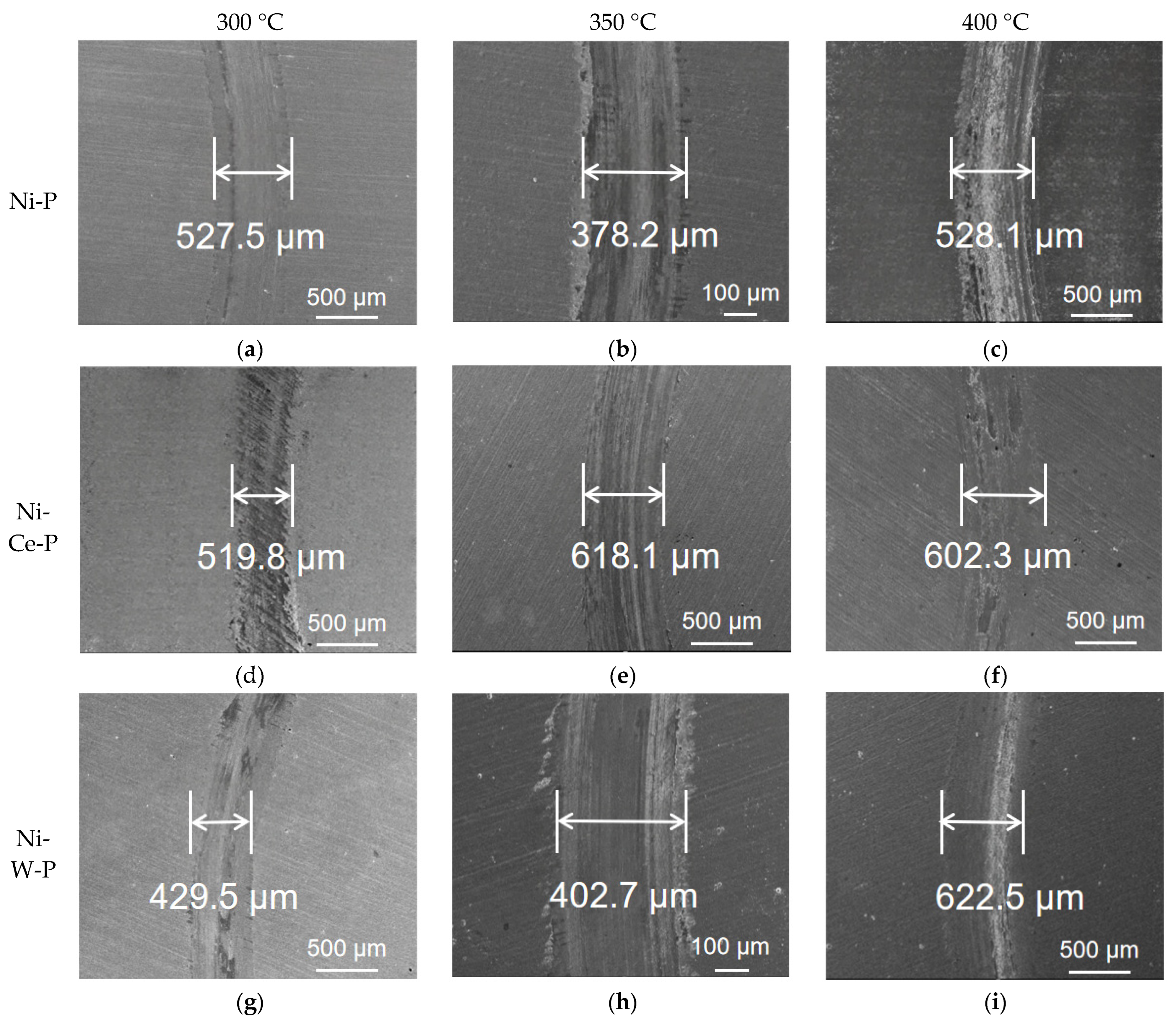 Coatings 16 00197 g008