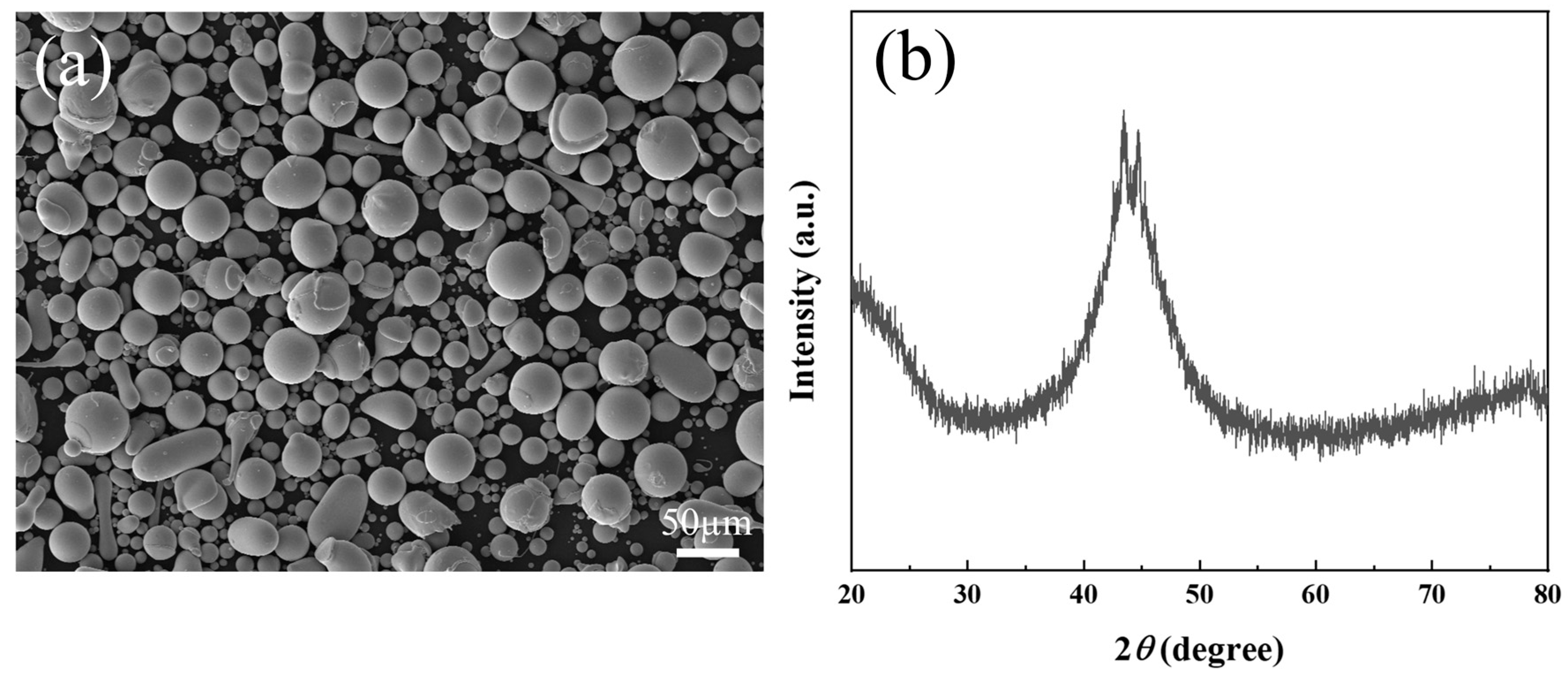 Coatings 16 00199 g001