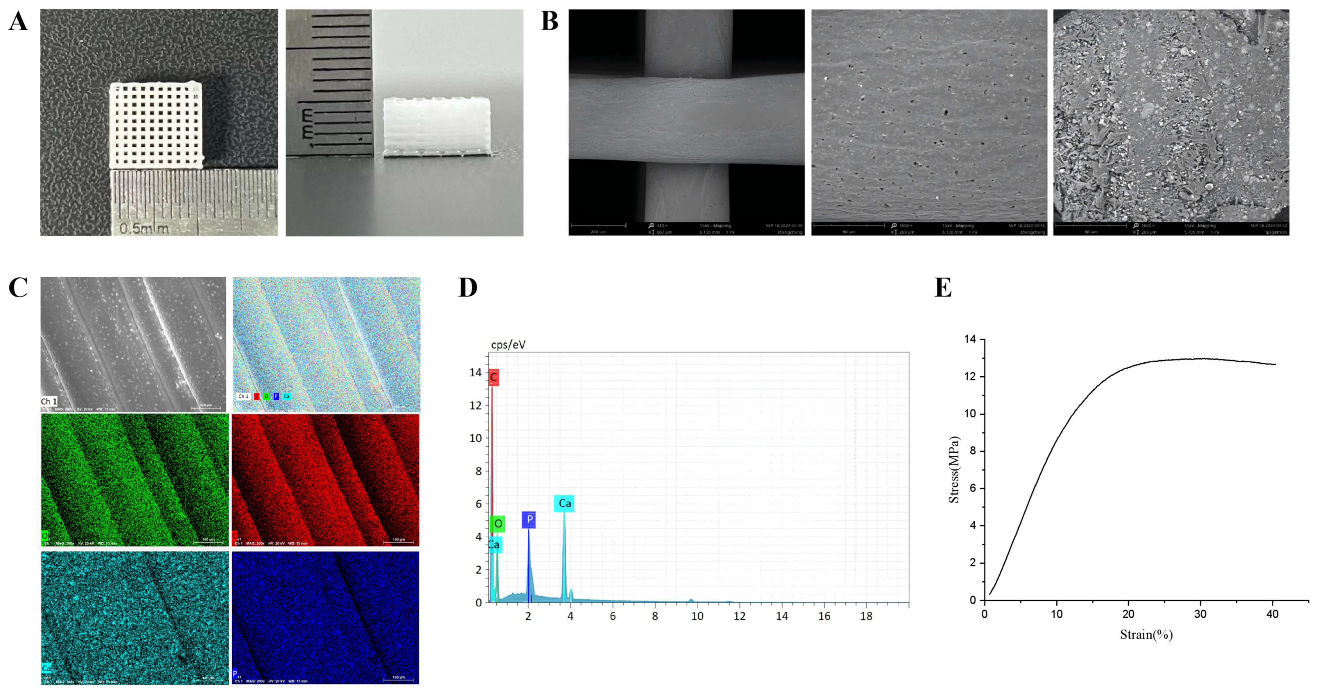 Coatings 16 00201 g001