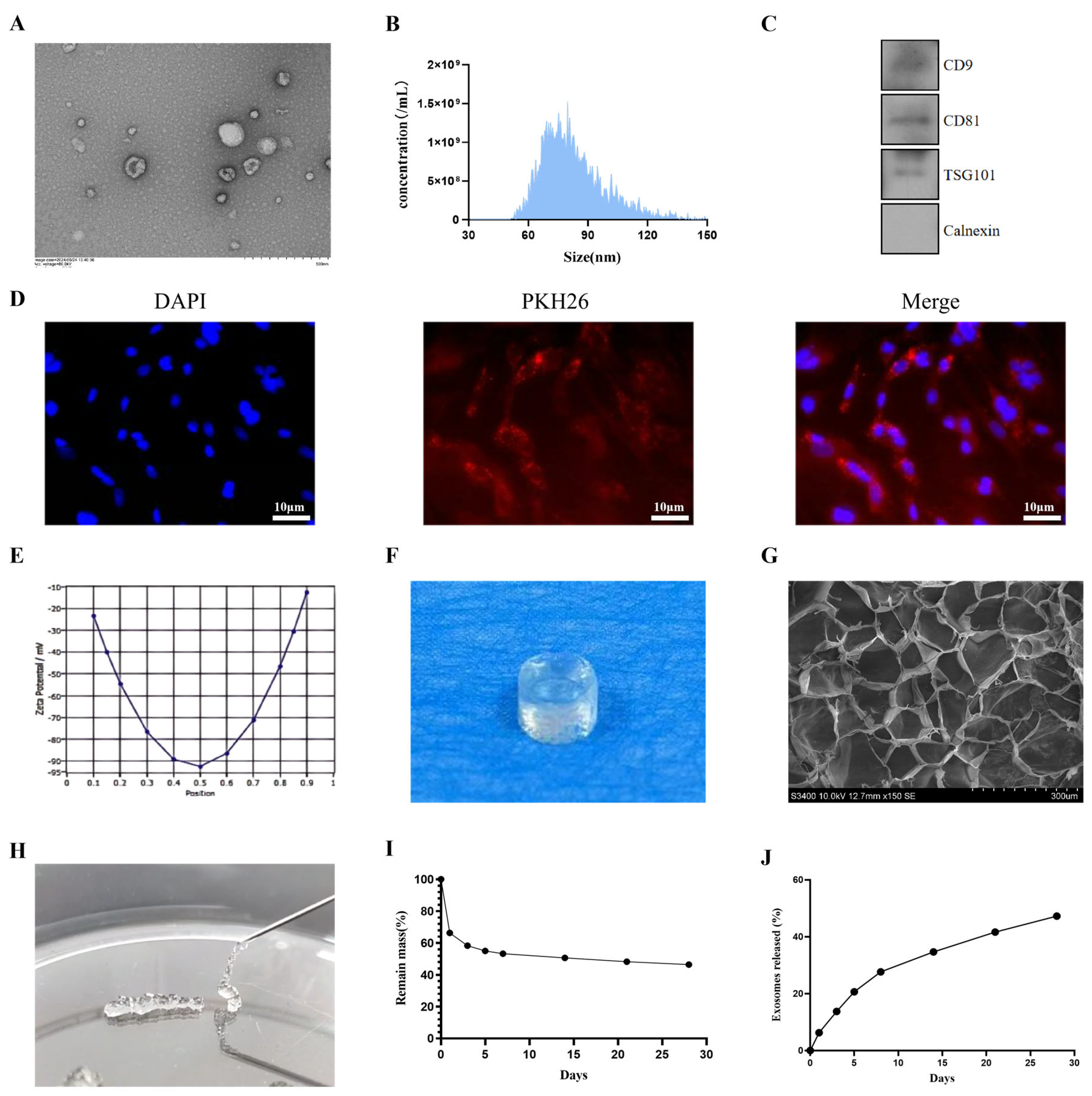 Coatings 16 00201 g002