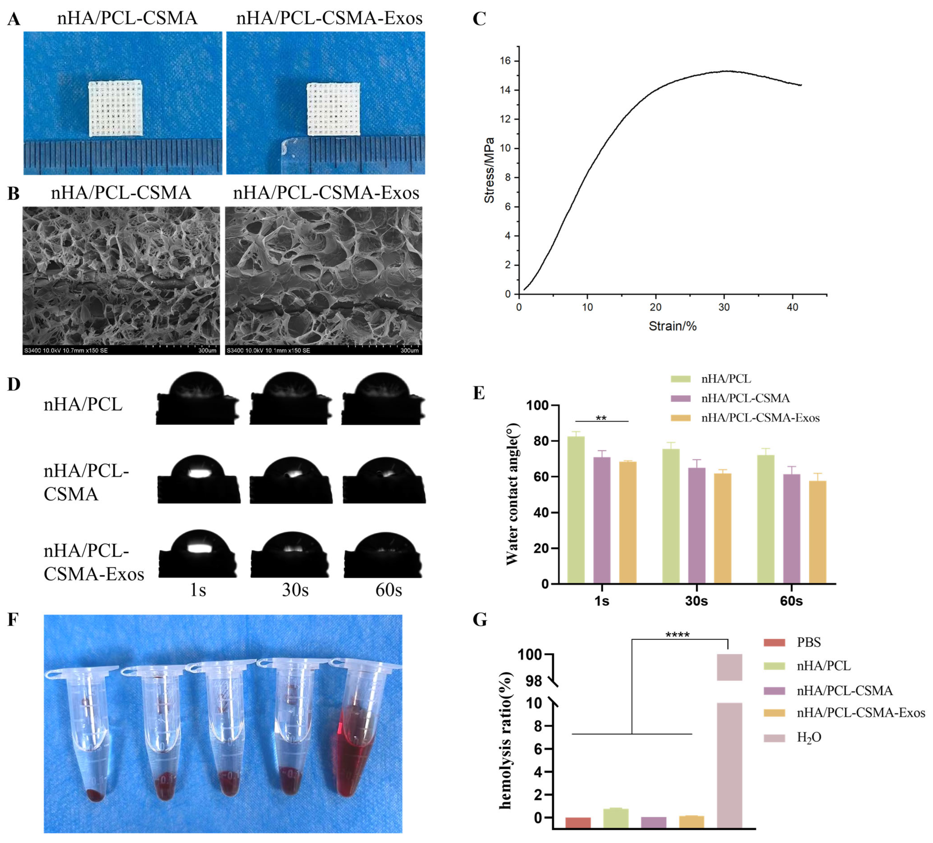 Coatings 16 00201 g003