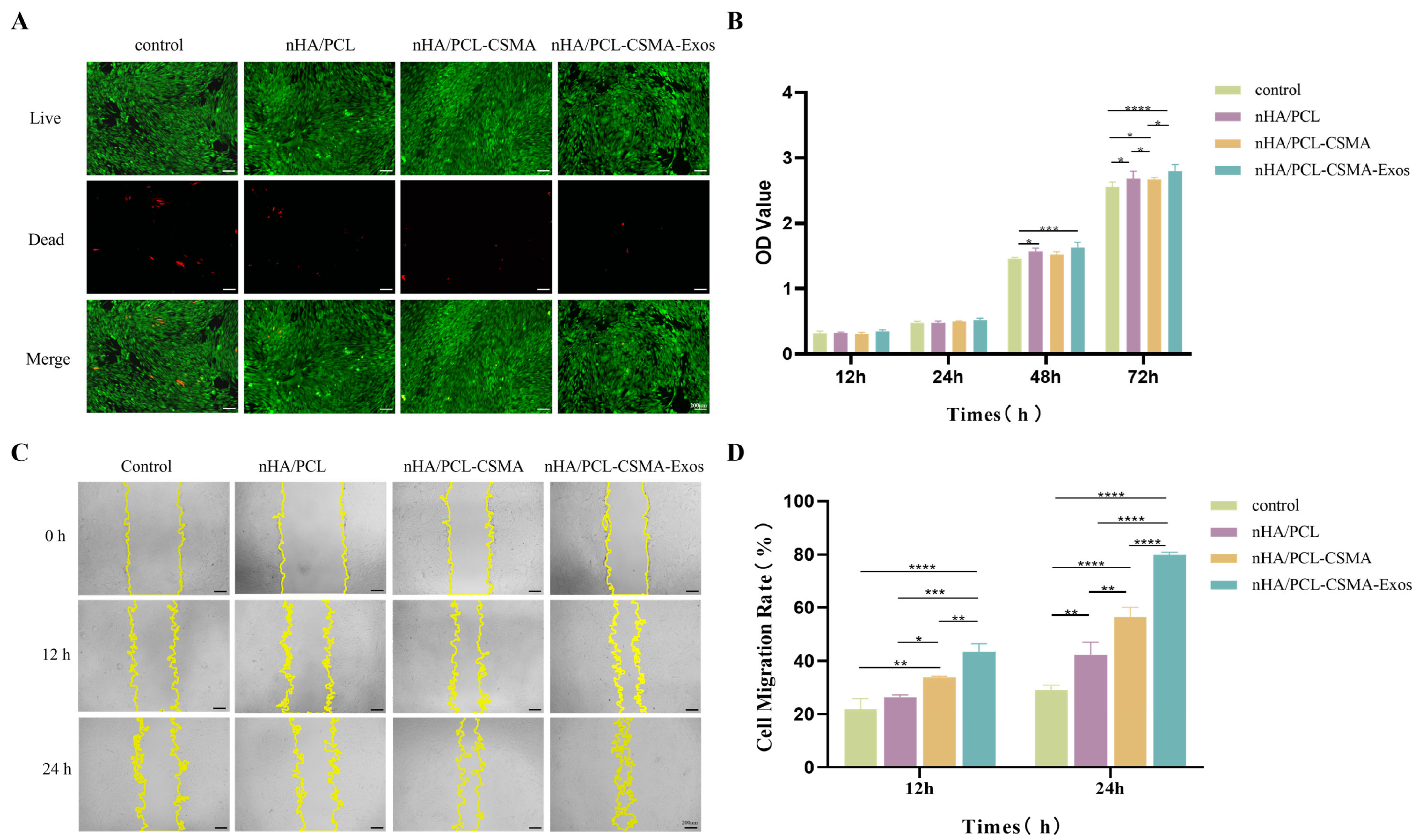 Coatings 16 00201 g004