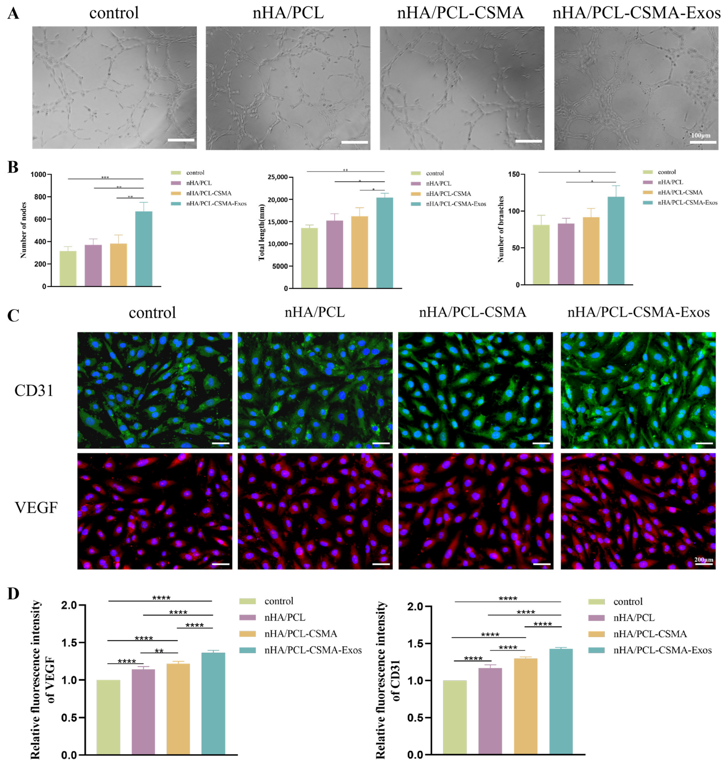 Coatings 16 00201 g005