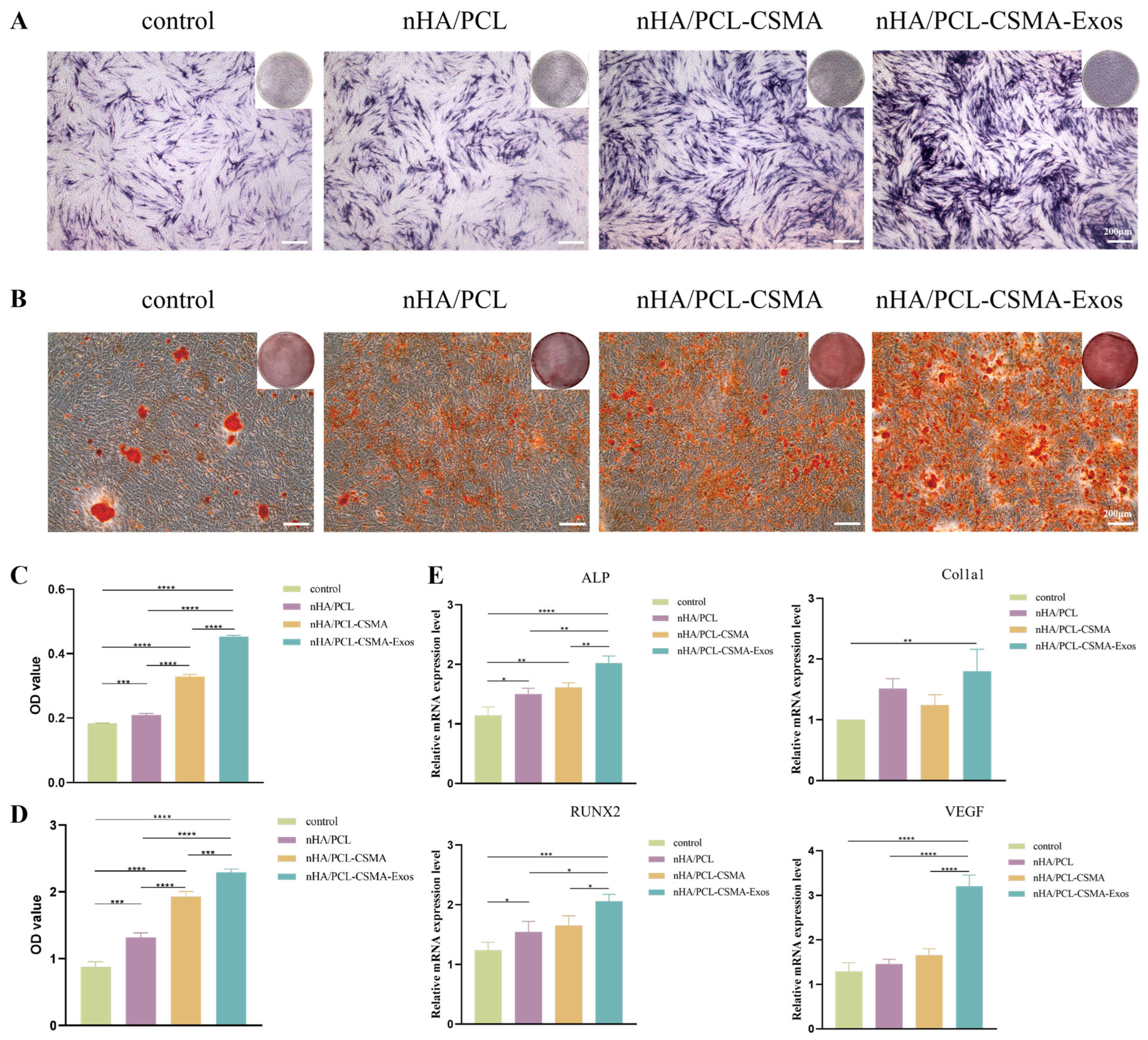 Coatings 16 00201 g006