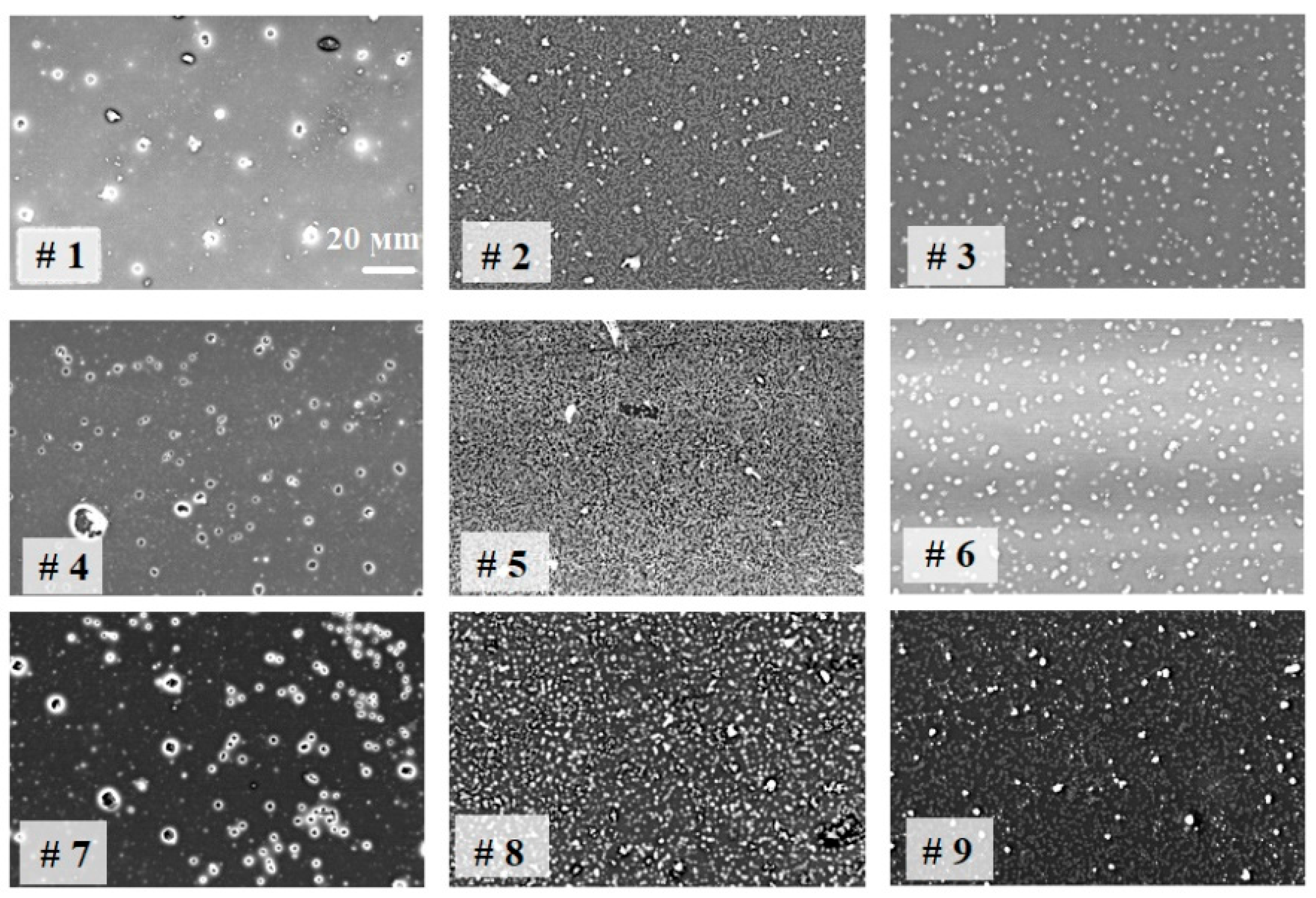 Coatings 16 00210 g004