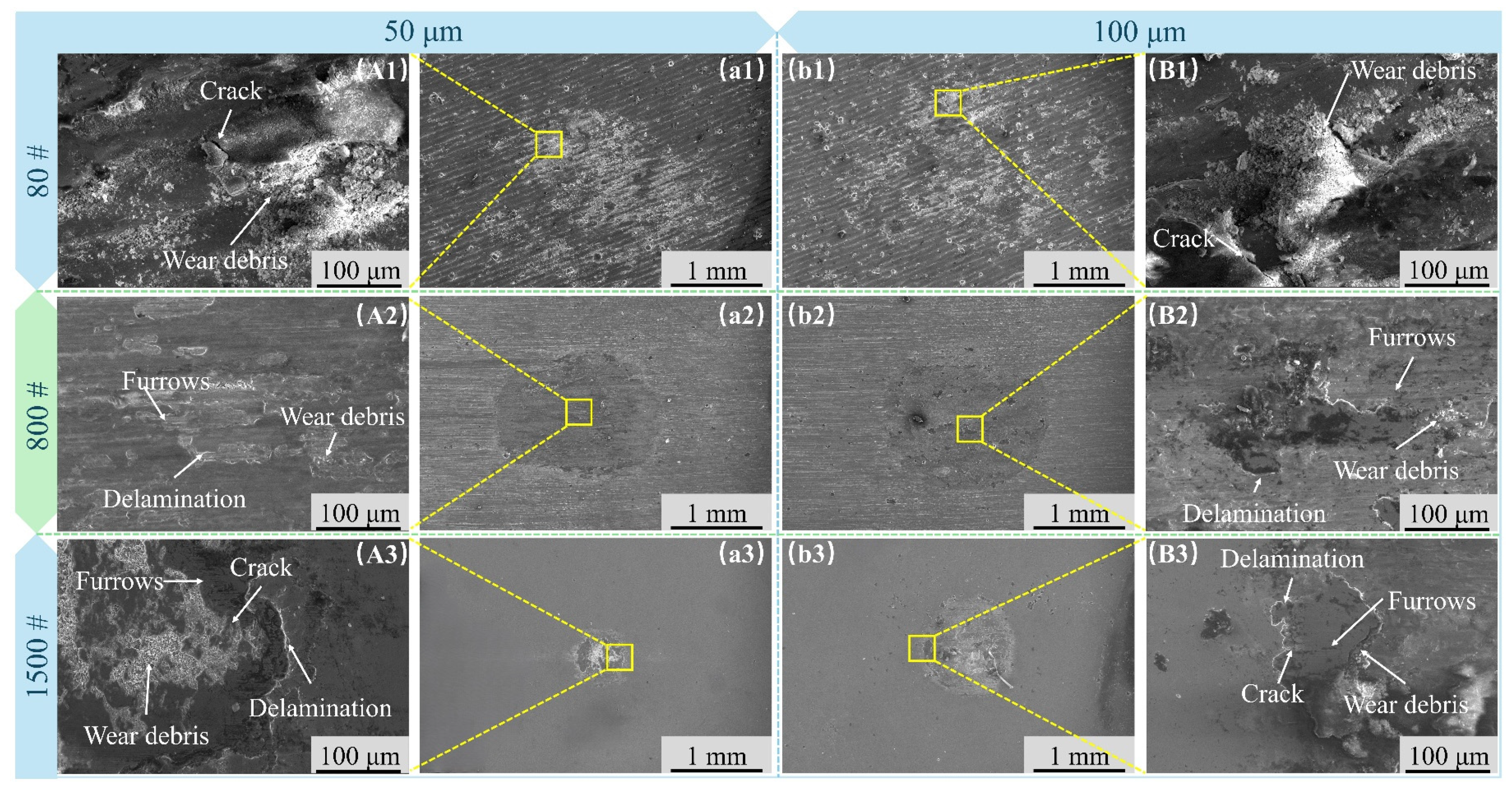 Coatings 16 00228 g010