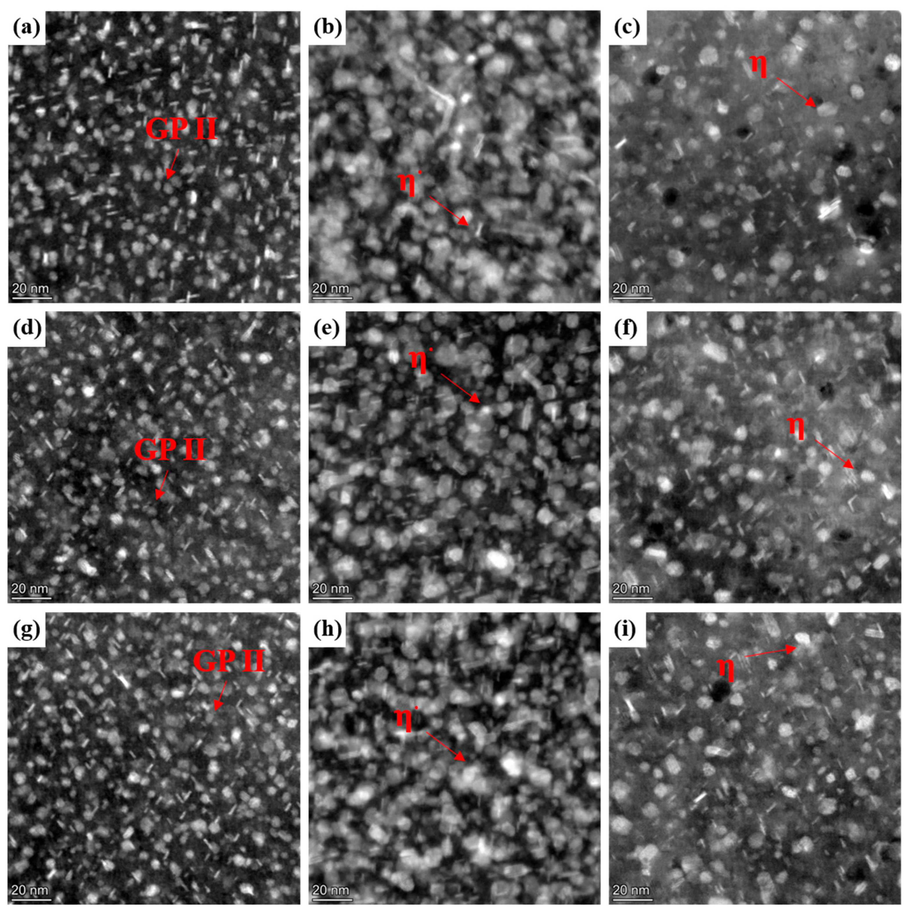 Coatings 16 00247 g008