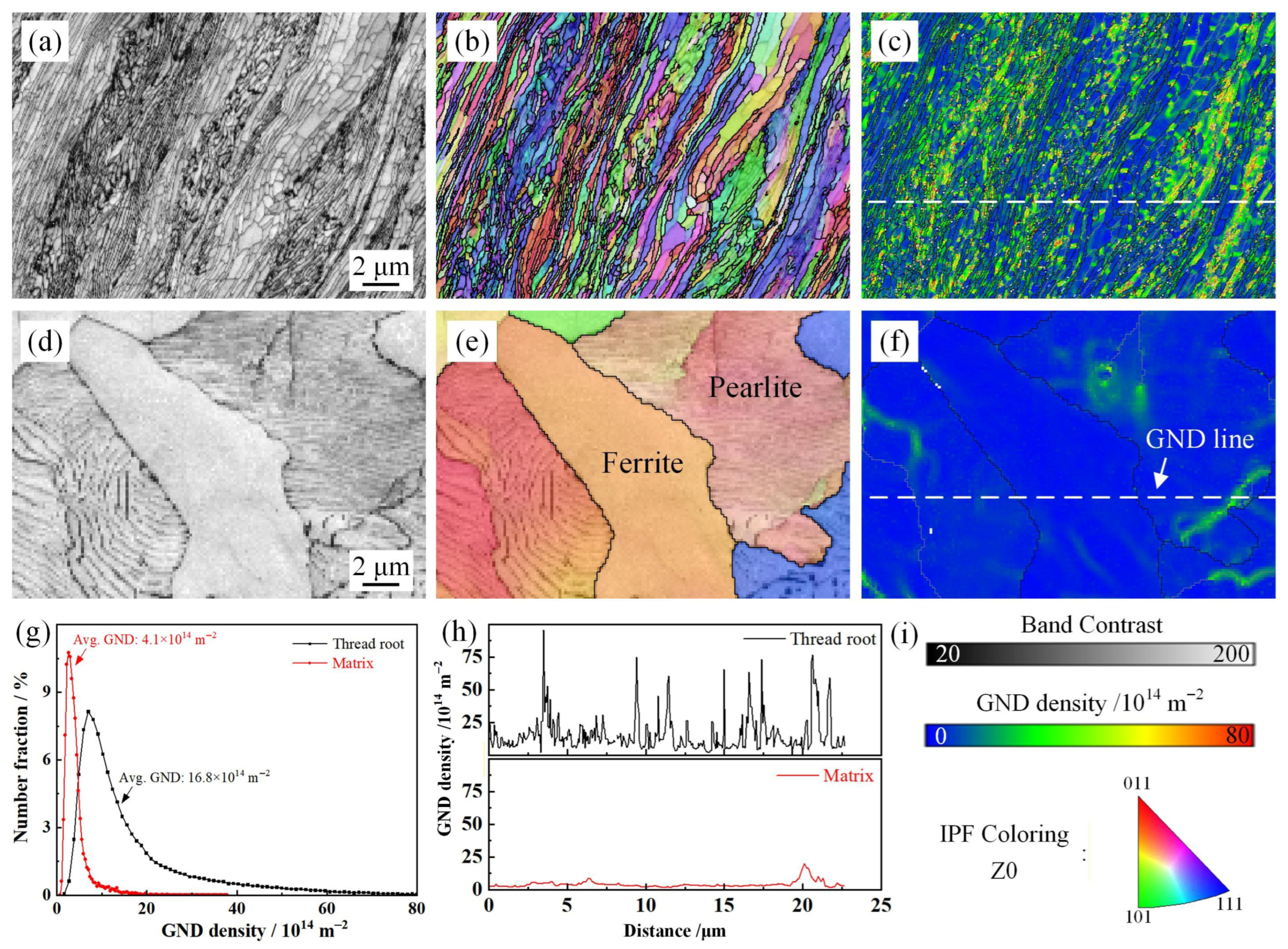 Coatings 16 00282 g005