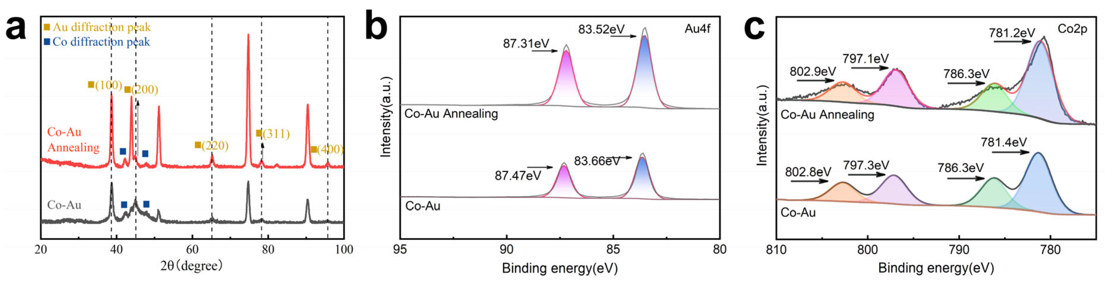 Coatings 16 00314 g002