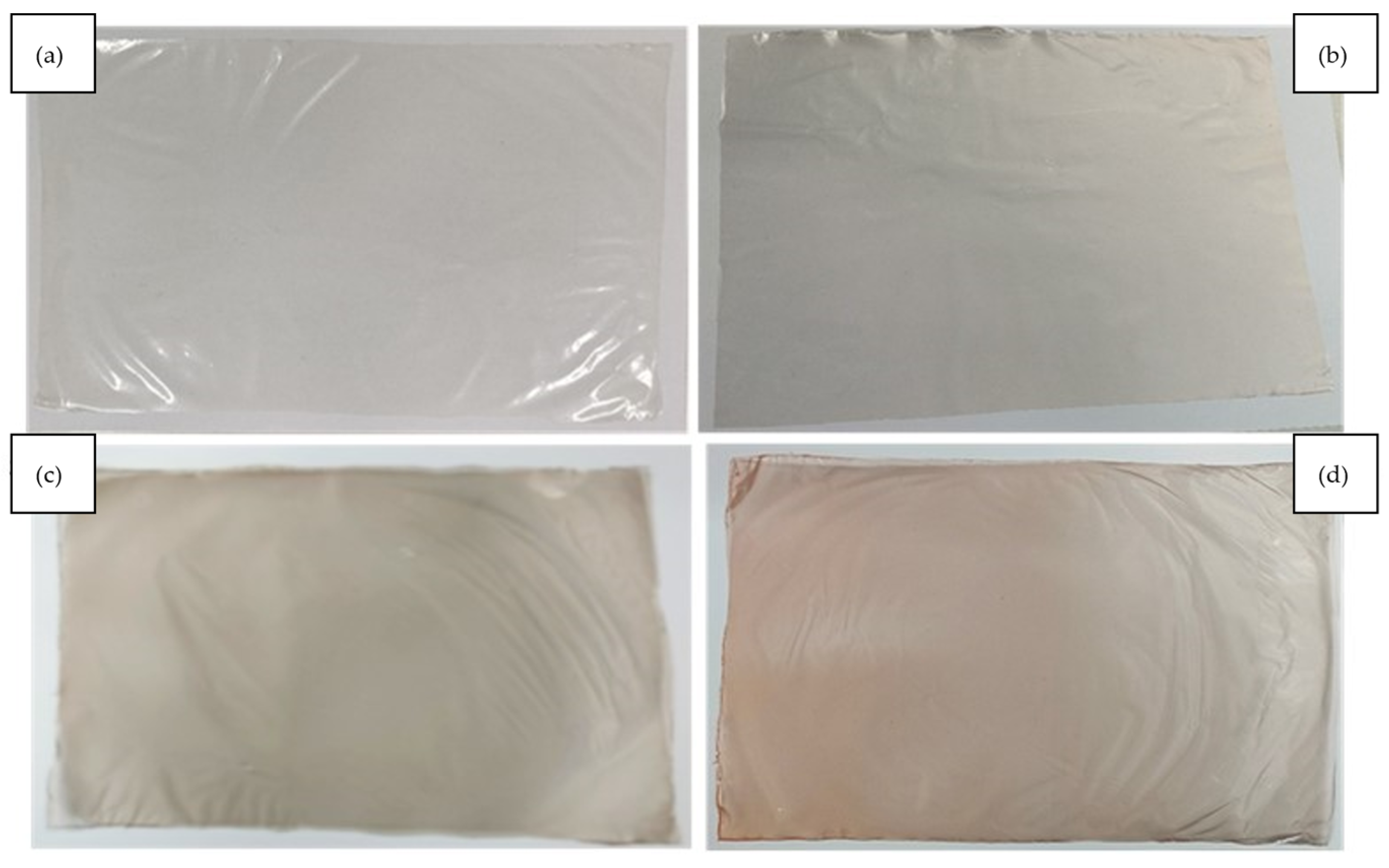 Coatings 16 00334 g001 Coatings 16 00334 g001