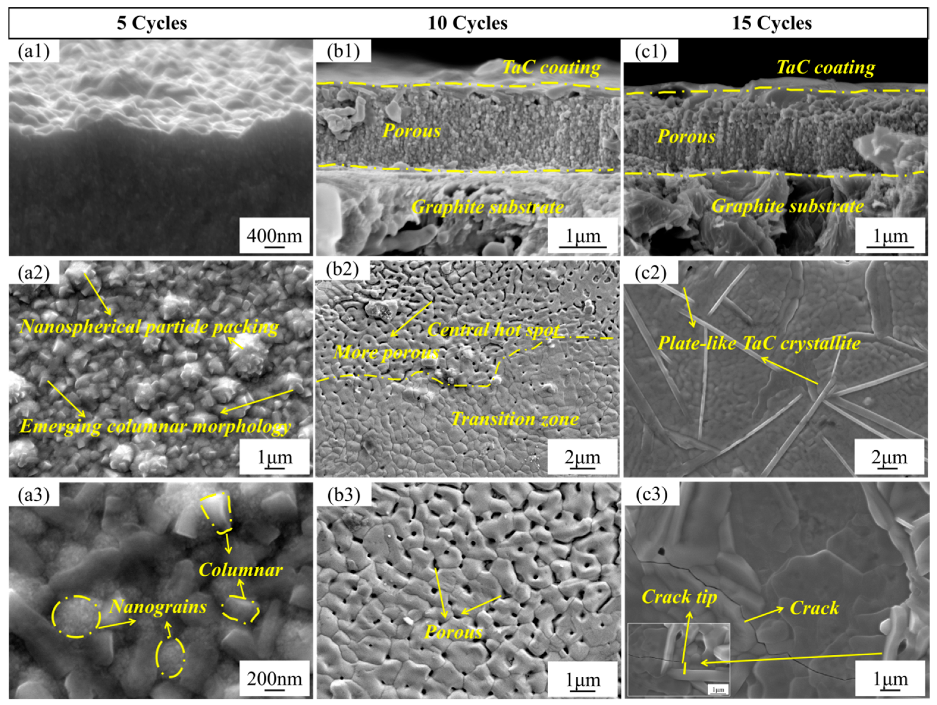 Coatings 16 00345 g008