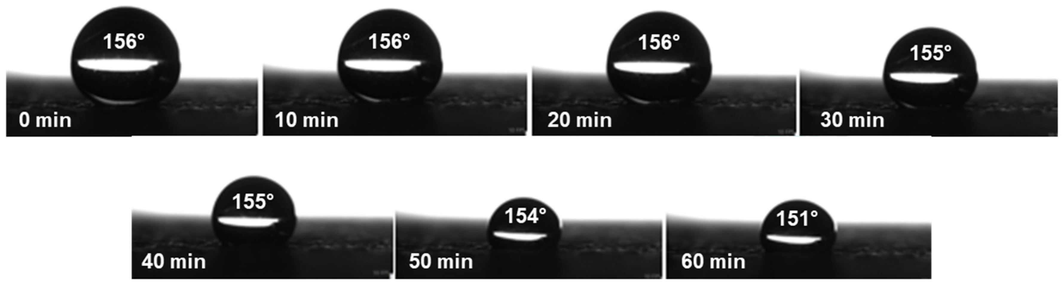 Coatings 16 00347 g005