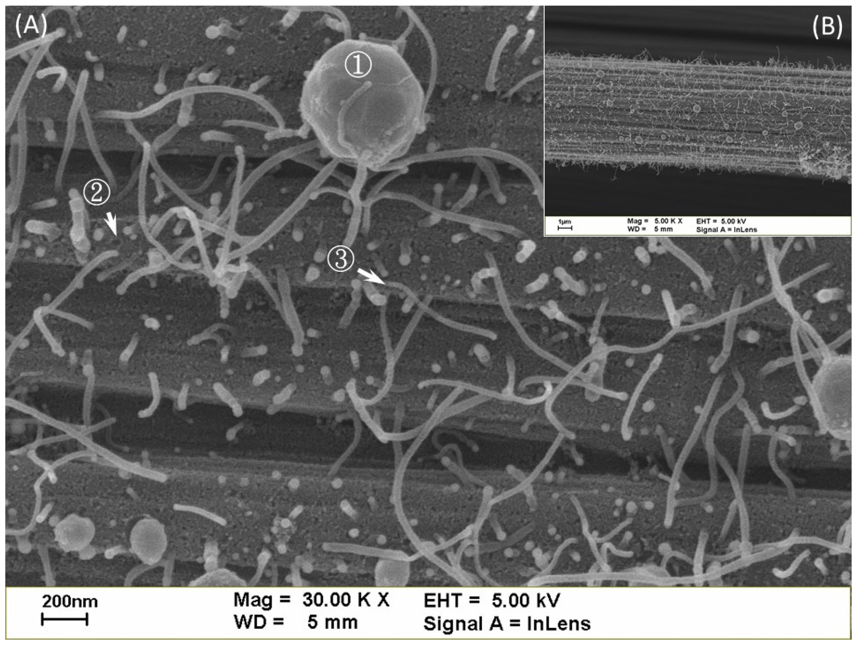 Coatings 16 00357 g005