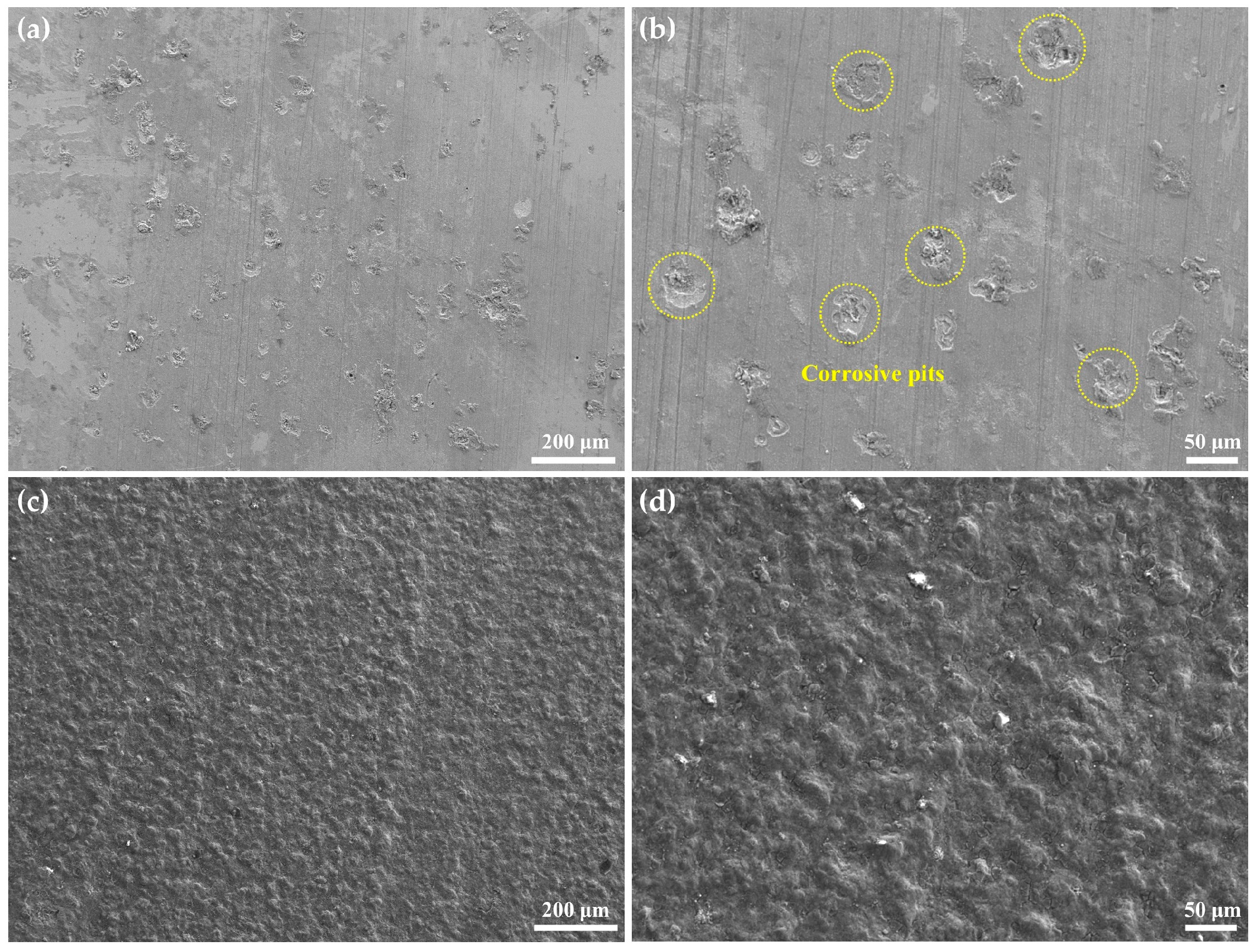 Coatings 16 00367 g005