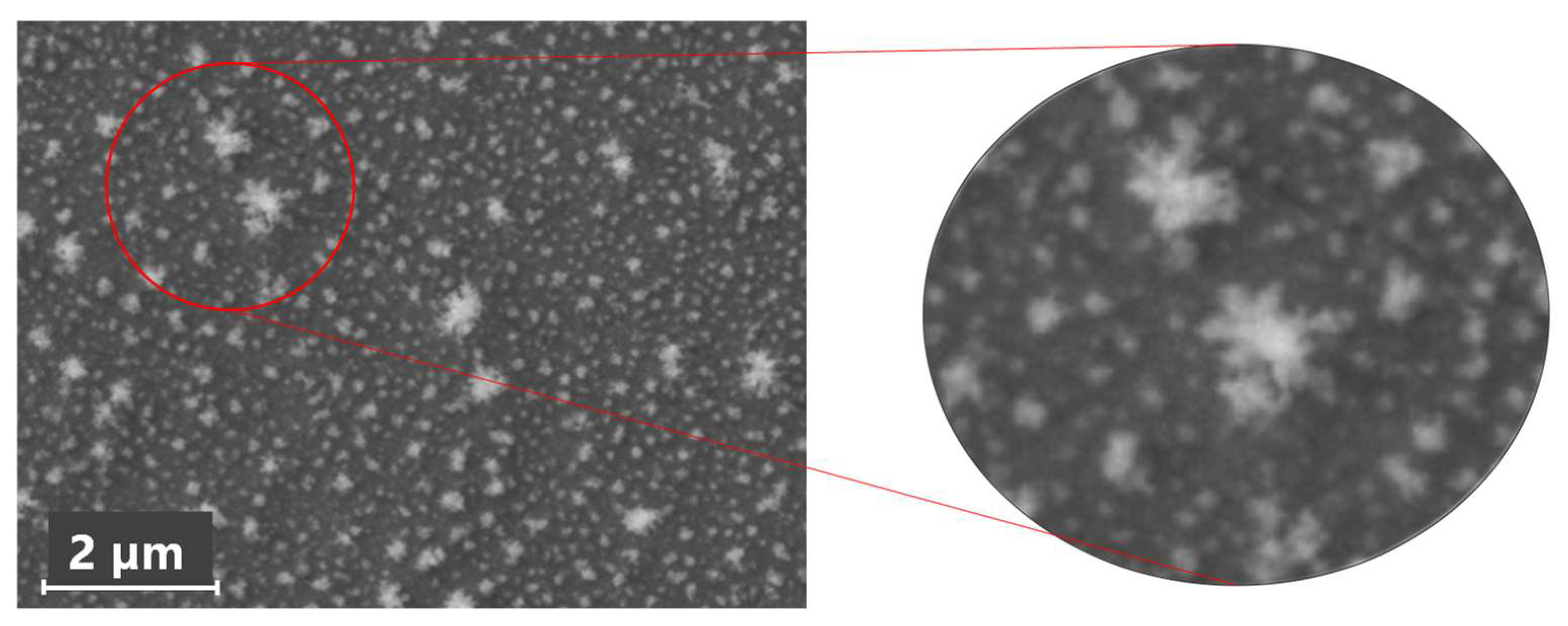Coatings 16 00379 g005