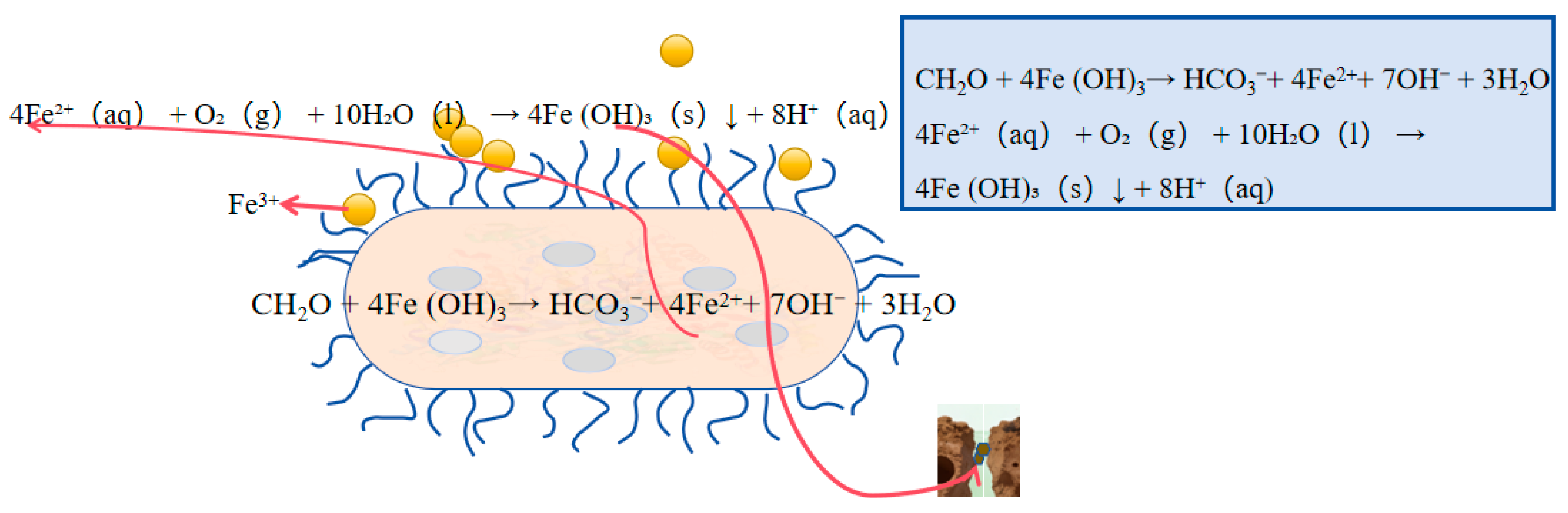 Coatings 16 00413 g005