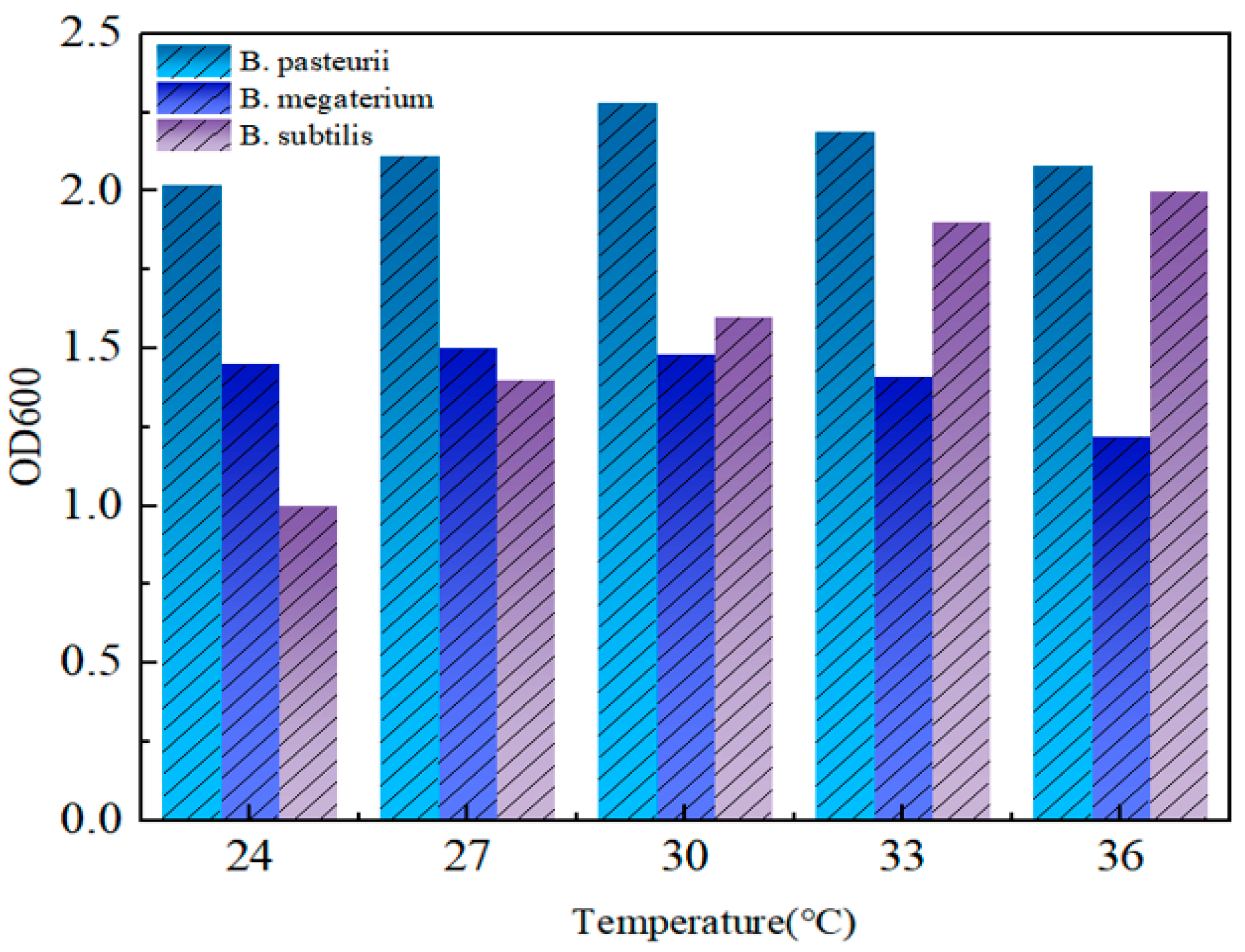 Coatings 16 00413 g013
