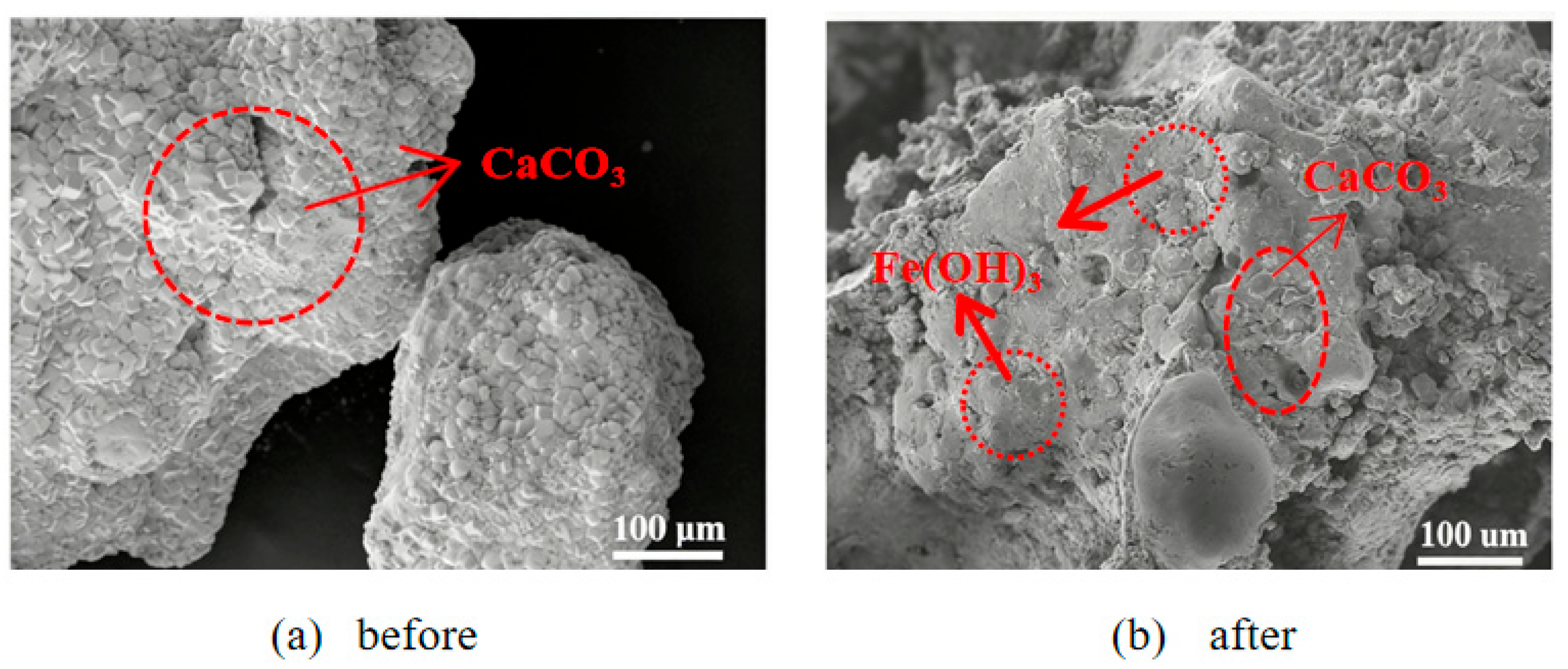 Coatings 16 00413 g020