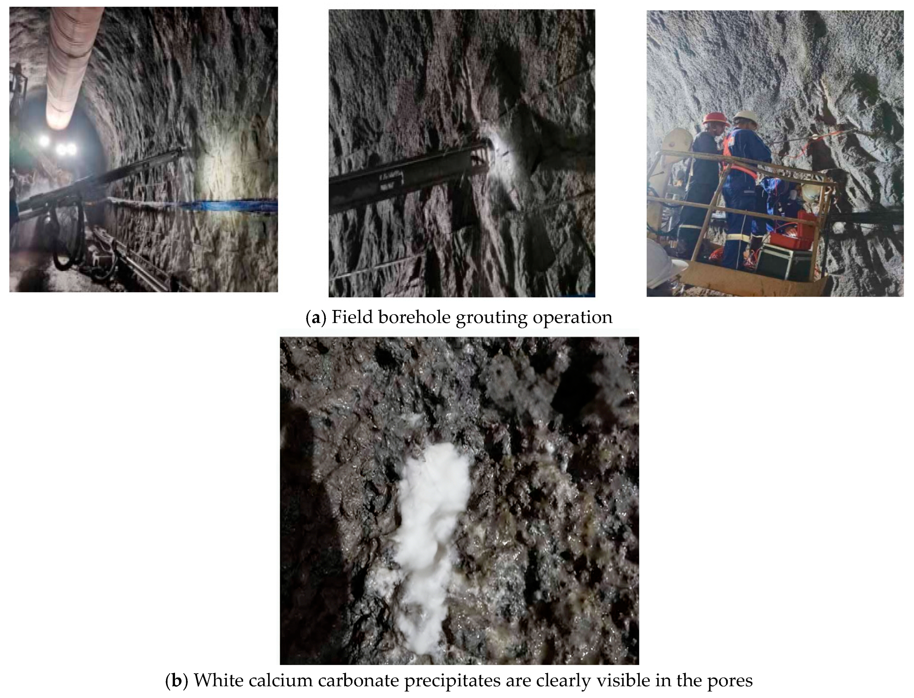 Coatings 16 00413 g024