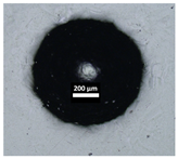 Coatings 16 00415 i014 Coatings 16 00415 i014