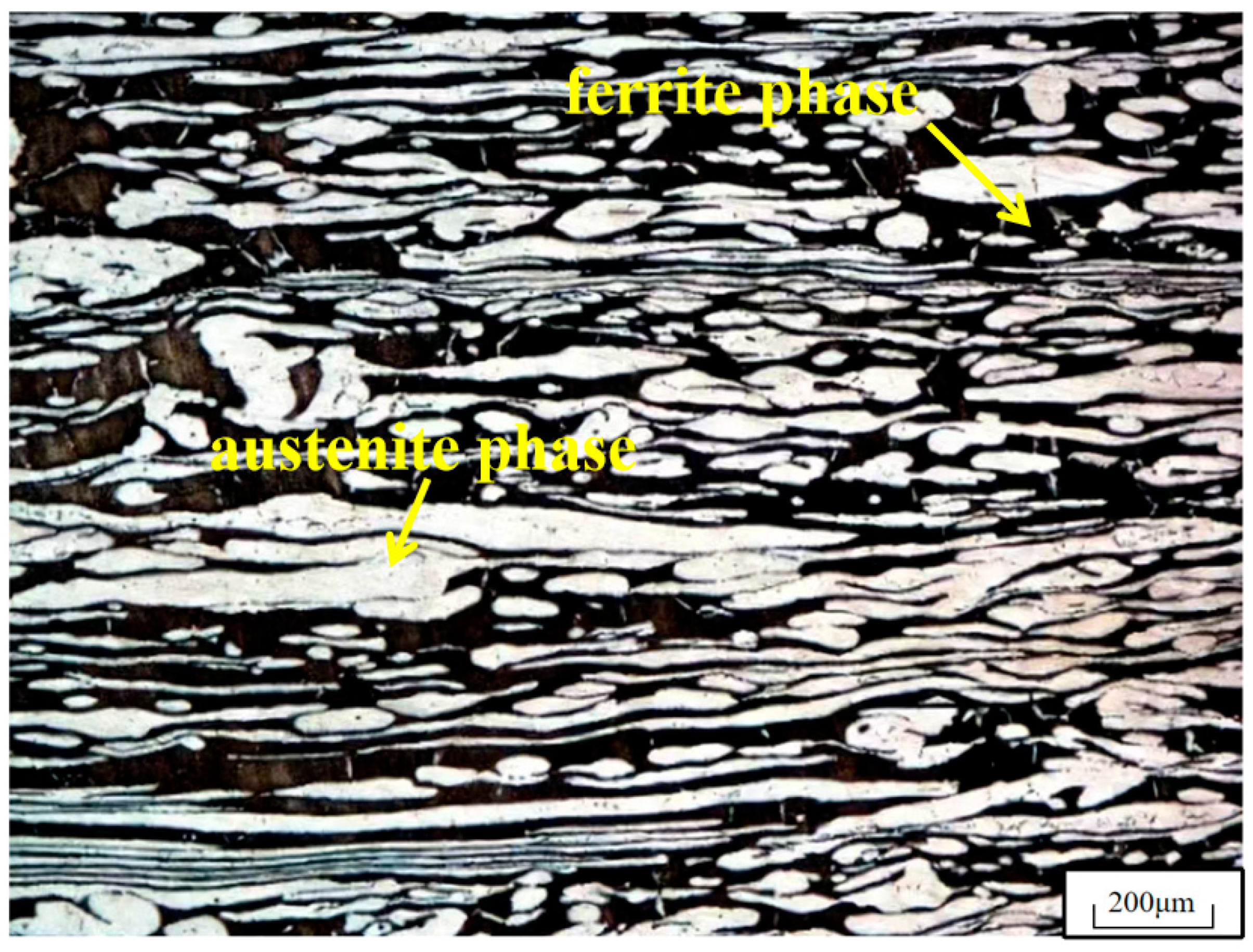 Coatings 16 00446 g004