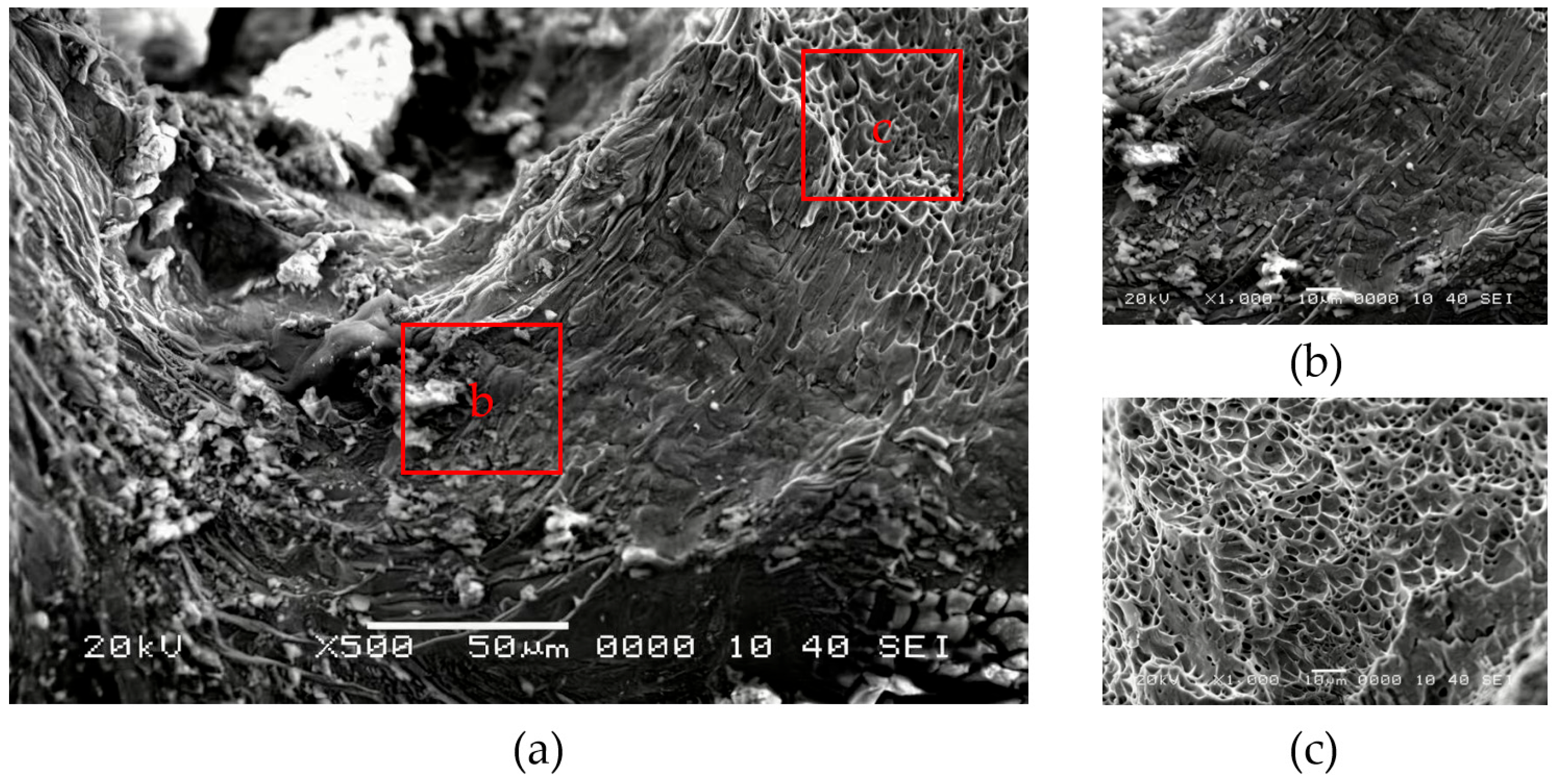 Coatings 16 00446 g013