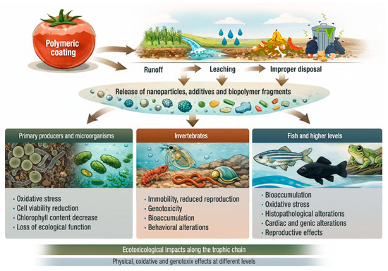 Toxicological and Environmental Risk Assessment of Biopolymeric Coatings for Horticultural Produce: A Comprehensive Review on Biosafety, Degradation, and Ecological Risks