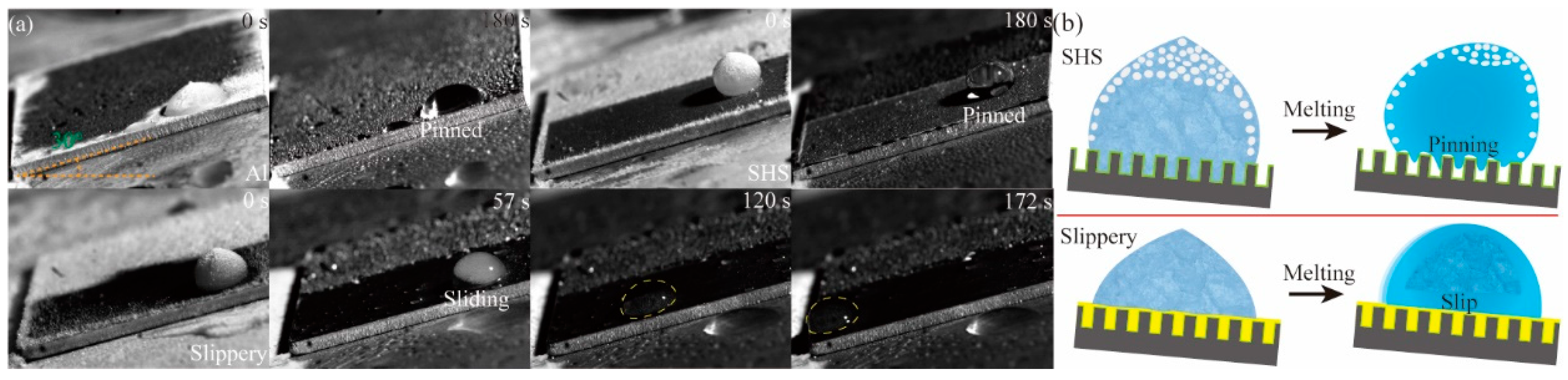 Coatings 16 00458 g004