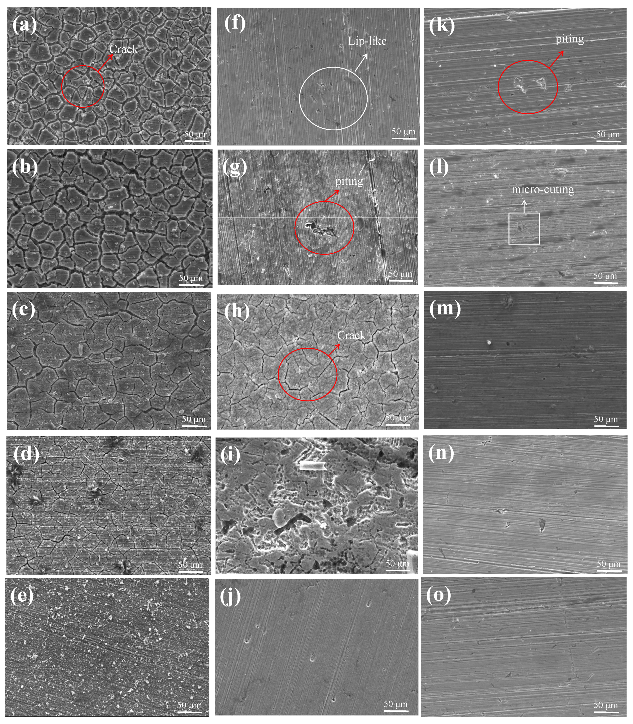 Coatings 16 00474 g006