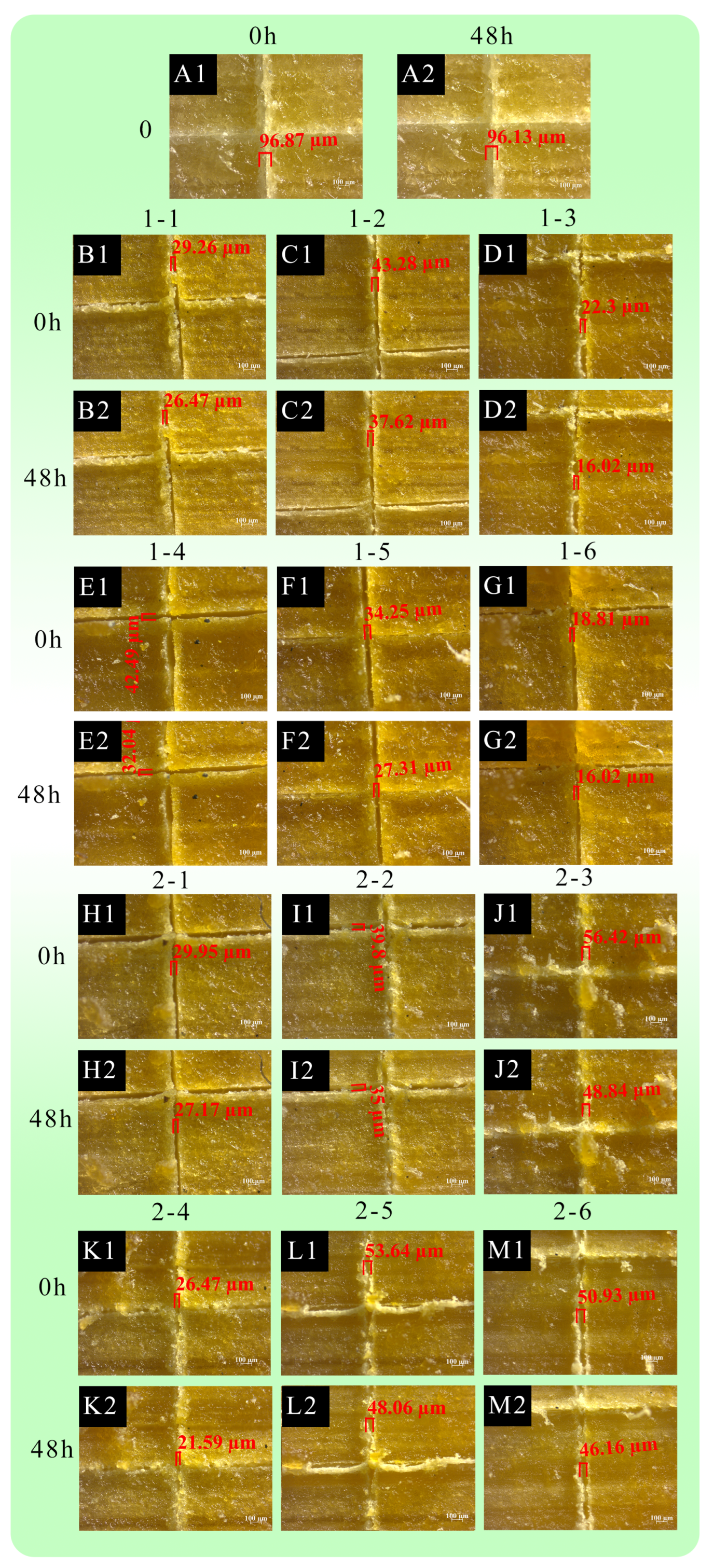 Coatings 16 00479 g006