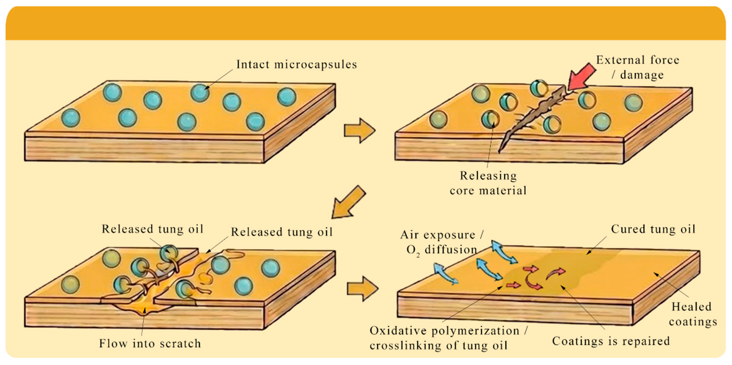 Coatings 16 00479 g008