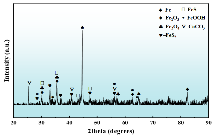 Coatings 16 00486 g008