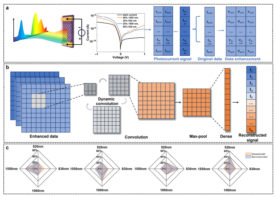 Cascaded Junction-Enabled Polarity-Programmable Dual-Color ...