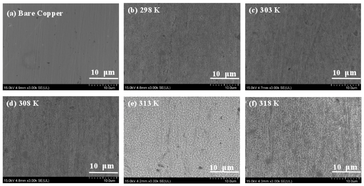 Coatings 16 00501 g012 Coatings 16 00501 g012