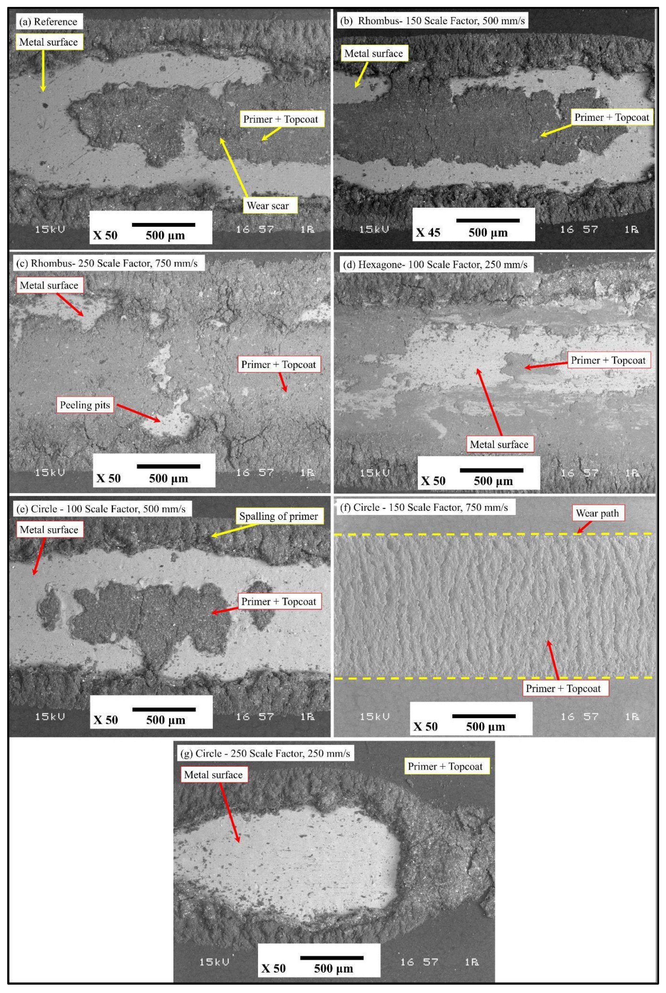 Coatings 16 00533 g010