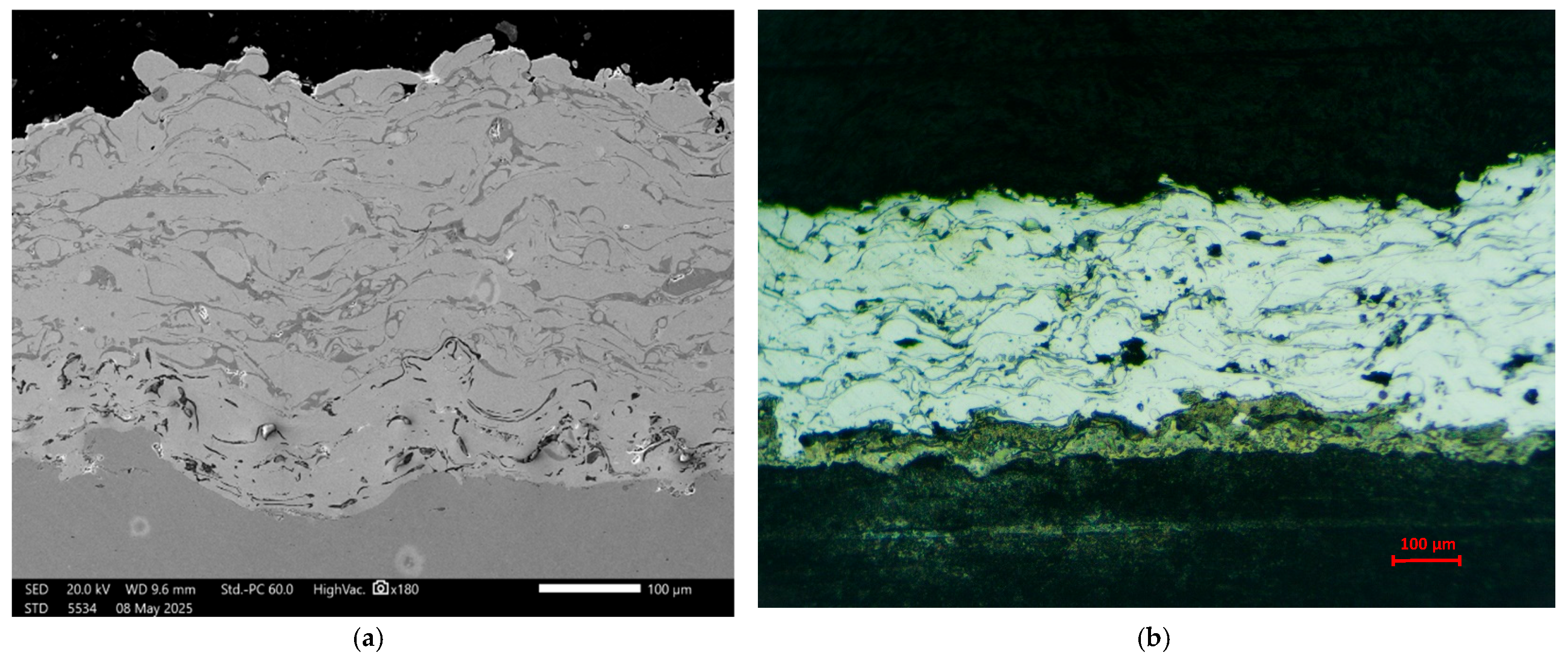 Coatings 16 00609 g002