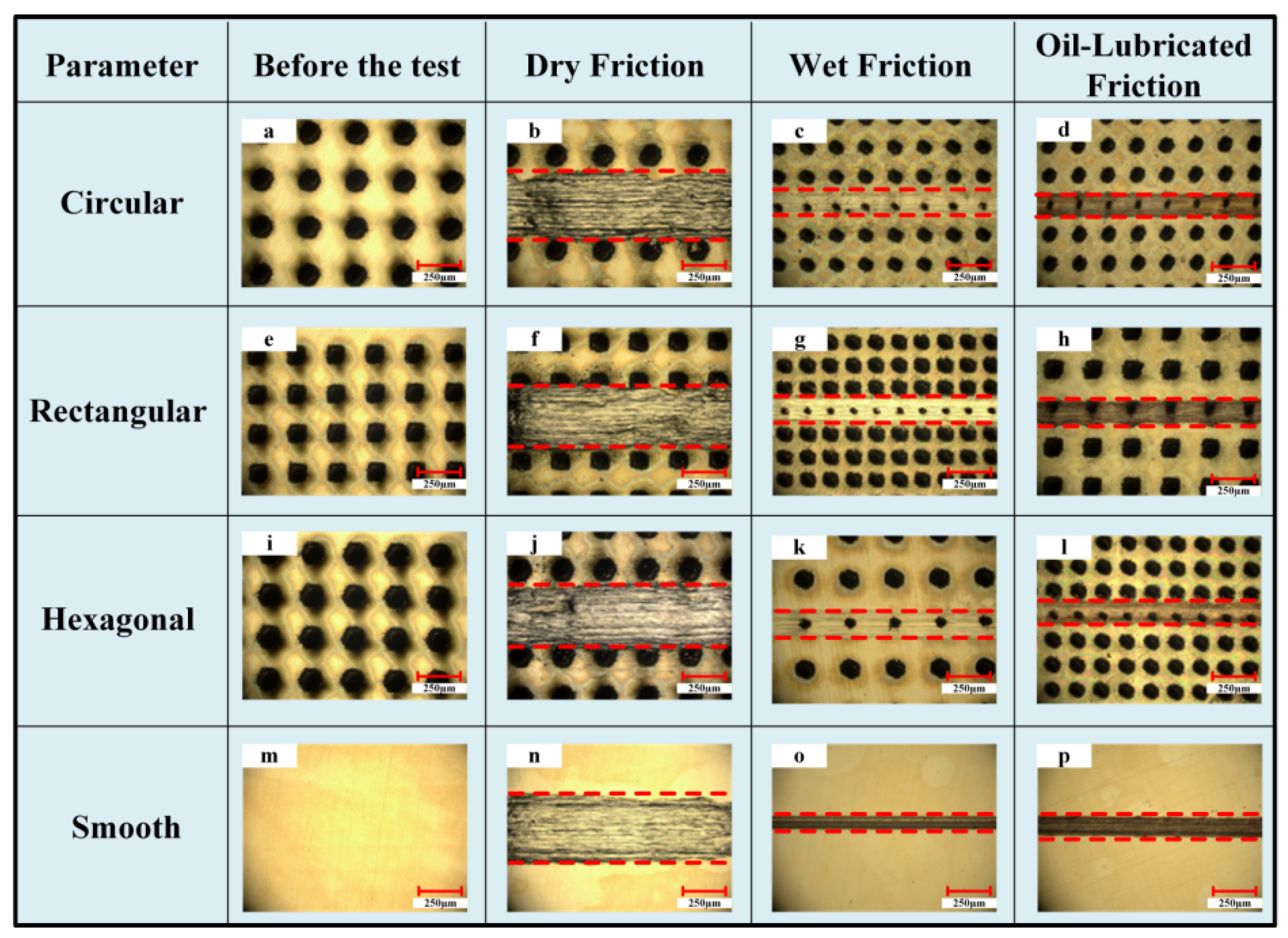 Coatings 16 00617 g003