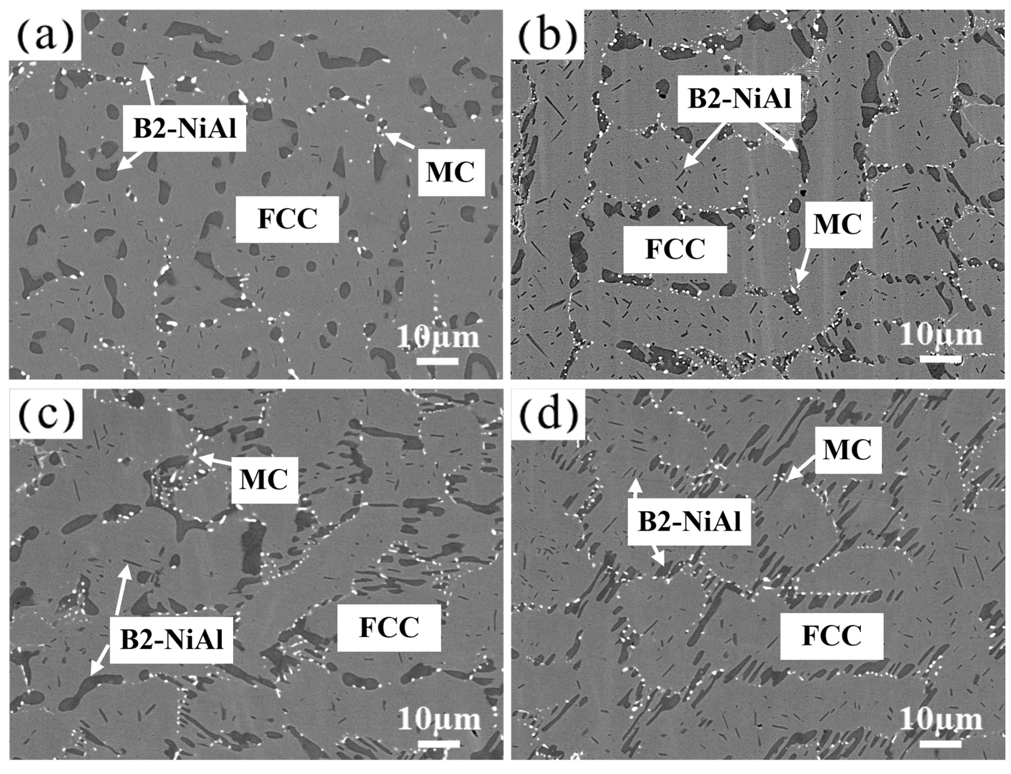 Coatings 16 00620 g003 Coatings 16 00620 g003